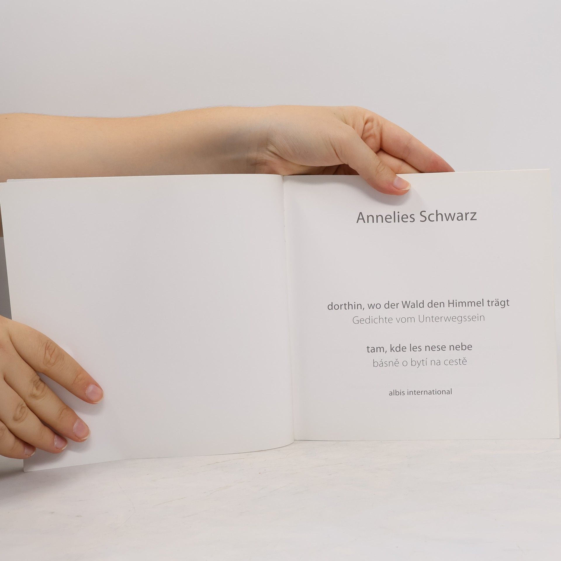 Annelies Schwarz Dorthin, wo der Wald den Himmel trägt. Tam, kde les nese nebe
