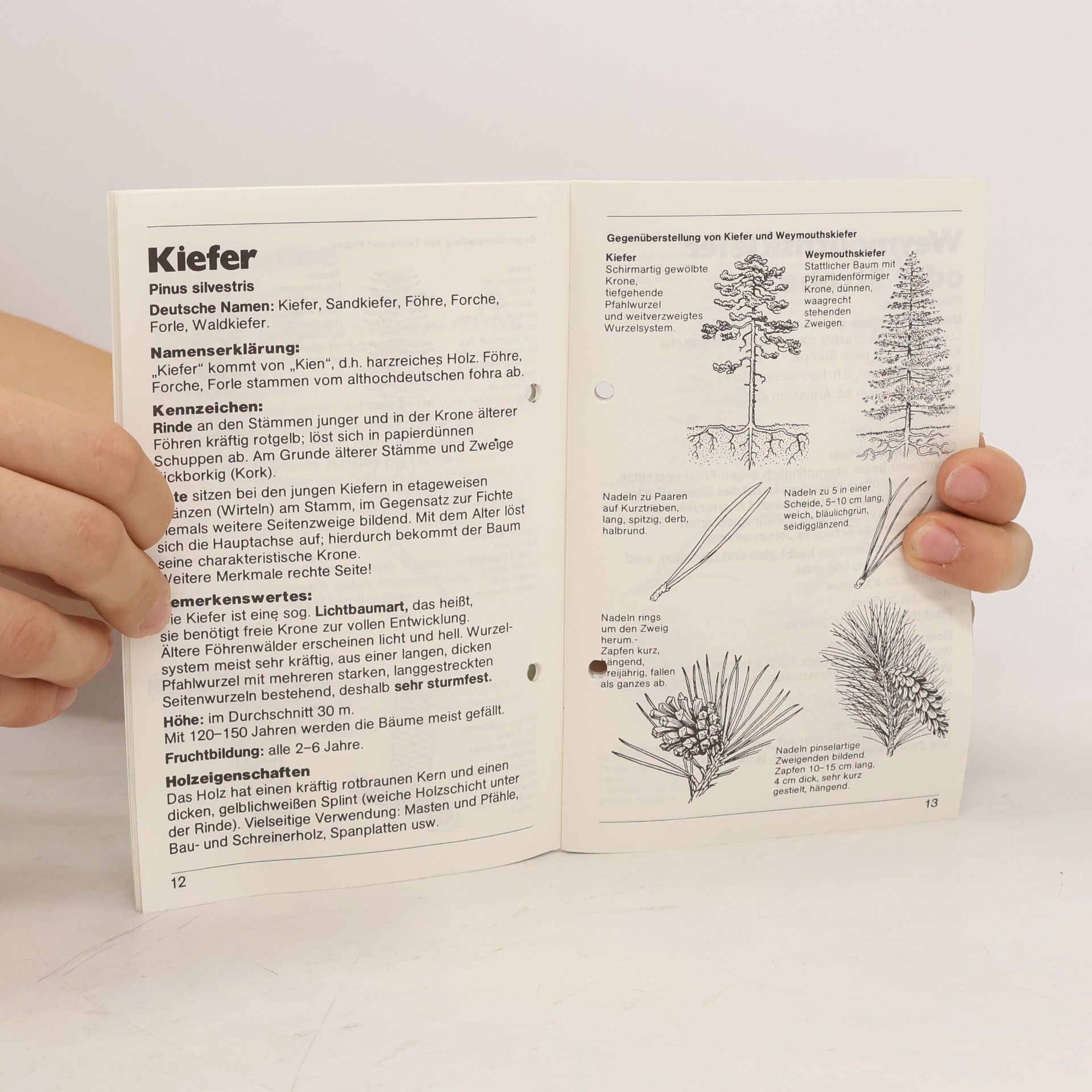 Autores varios Der Wald seine Bäume und Sträucher