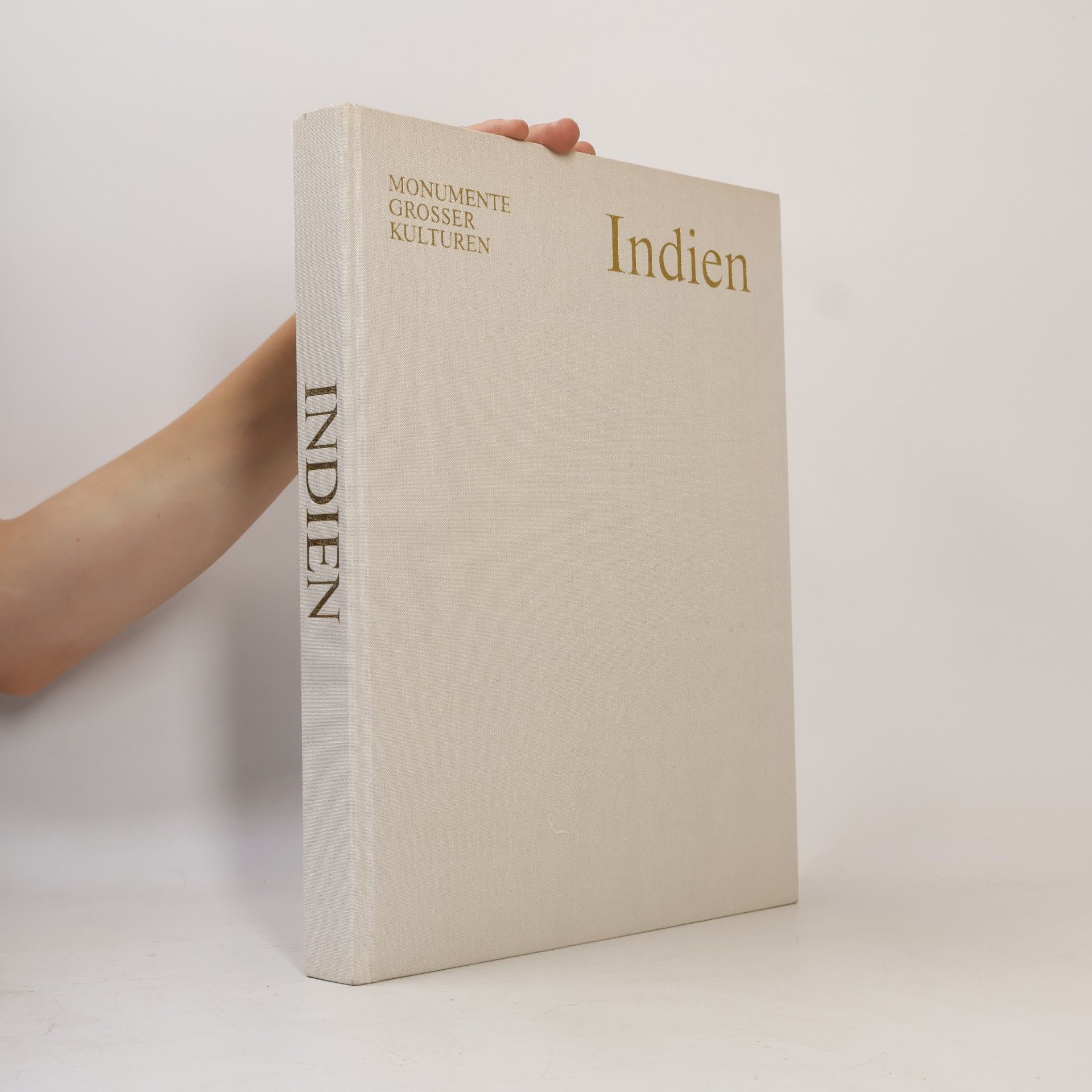 Maurizio Taddei Indien