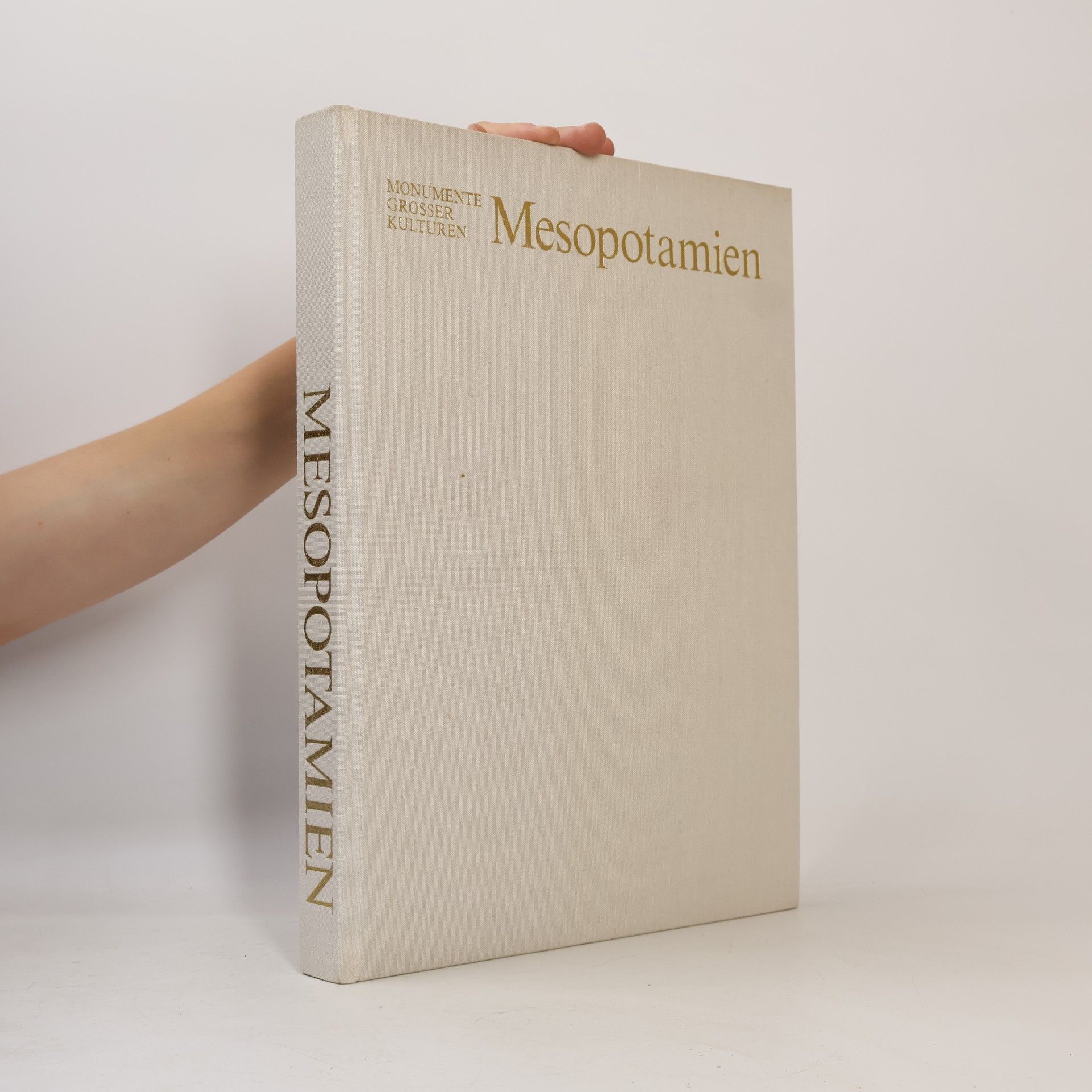 Collectif d'auteurs Mesopotamien