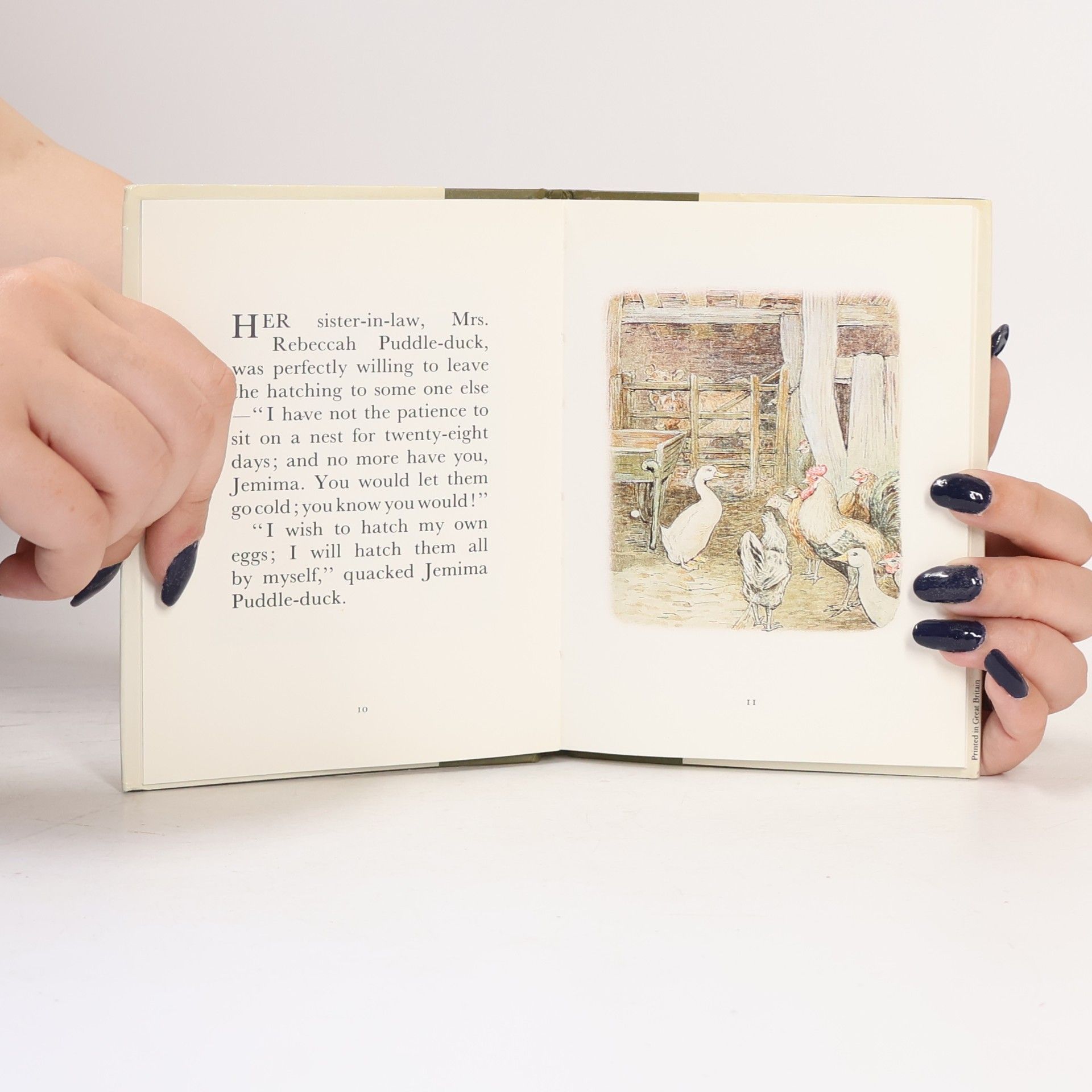 Beatrix Potter The Tale of Jemima Puddle-Duck