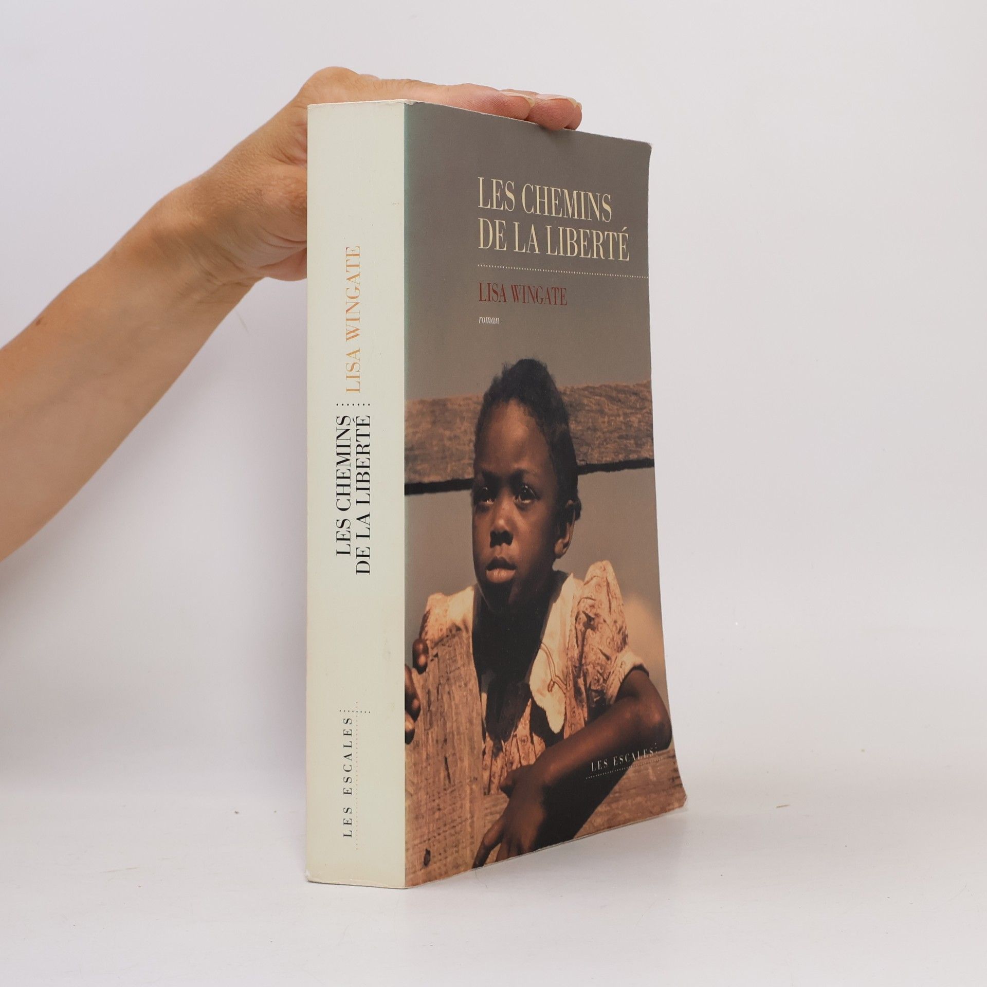 Lisa Wingate Les chemins de la liberté