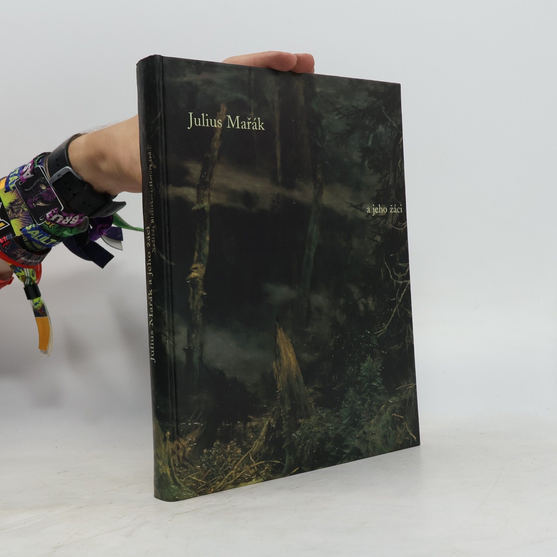 Naděžda Blažíčková-Horová Julius Mařák a jeho žáci