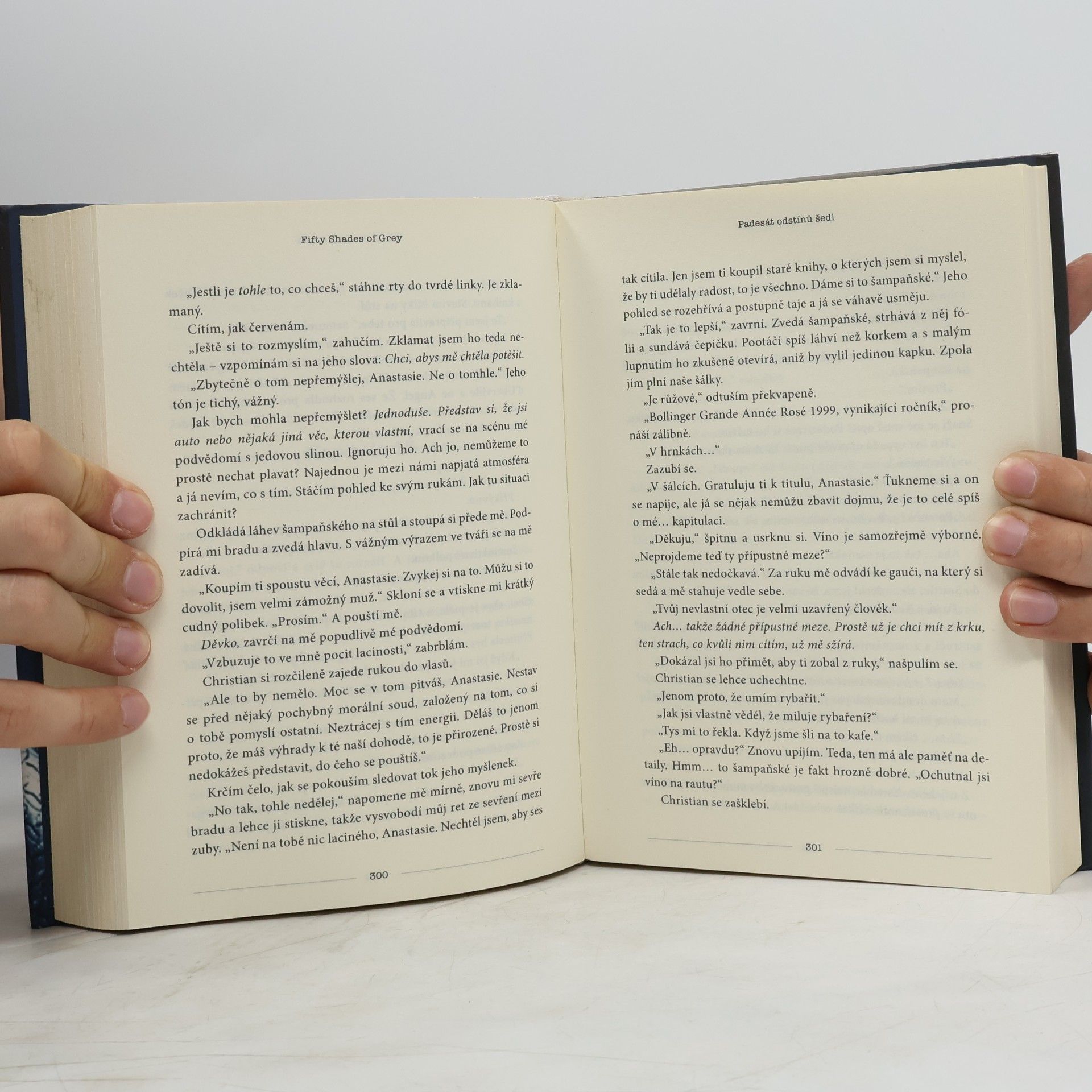 E. L. James Padesát odstínů šedi
