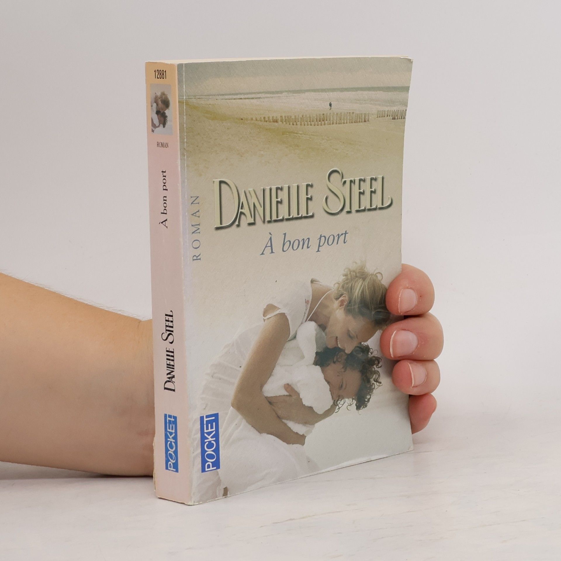 Danielle Steel A bon port