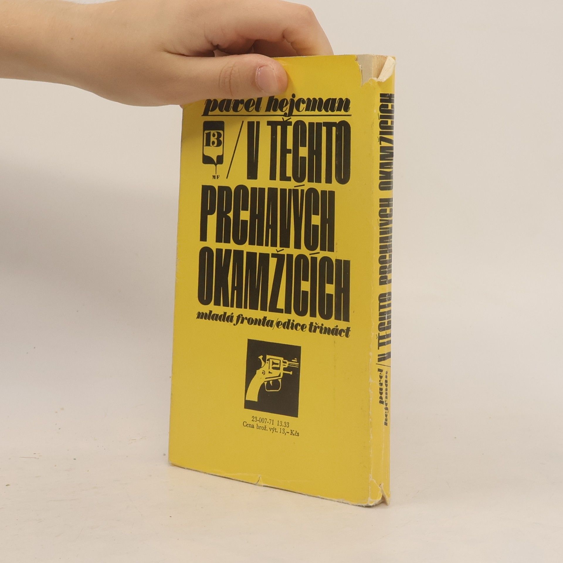 Pavel Hejcman V těchto prchavých okamžicích