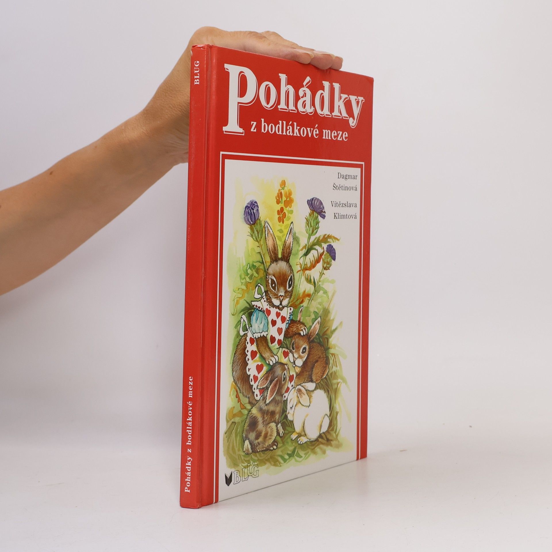 Dagmar Štětinová Pohádky z bodlákové meze