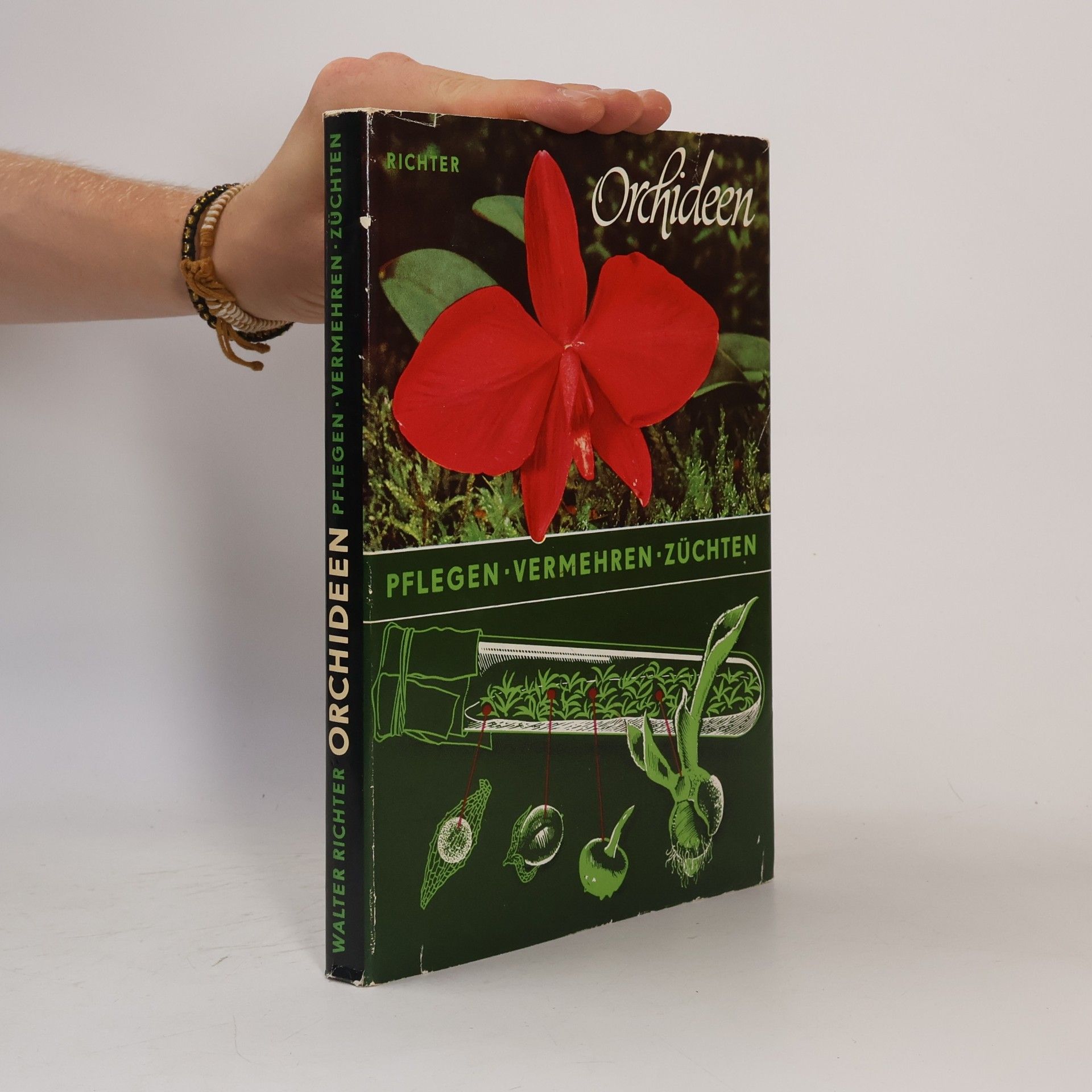 Walter Richter Orchiden - Pelegen, Vermehren, Züchtein