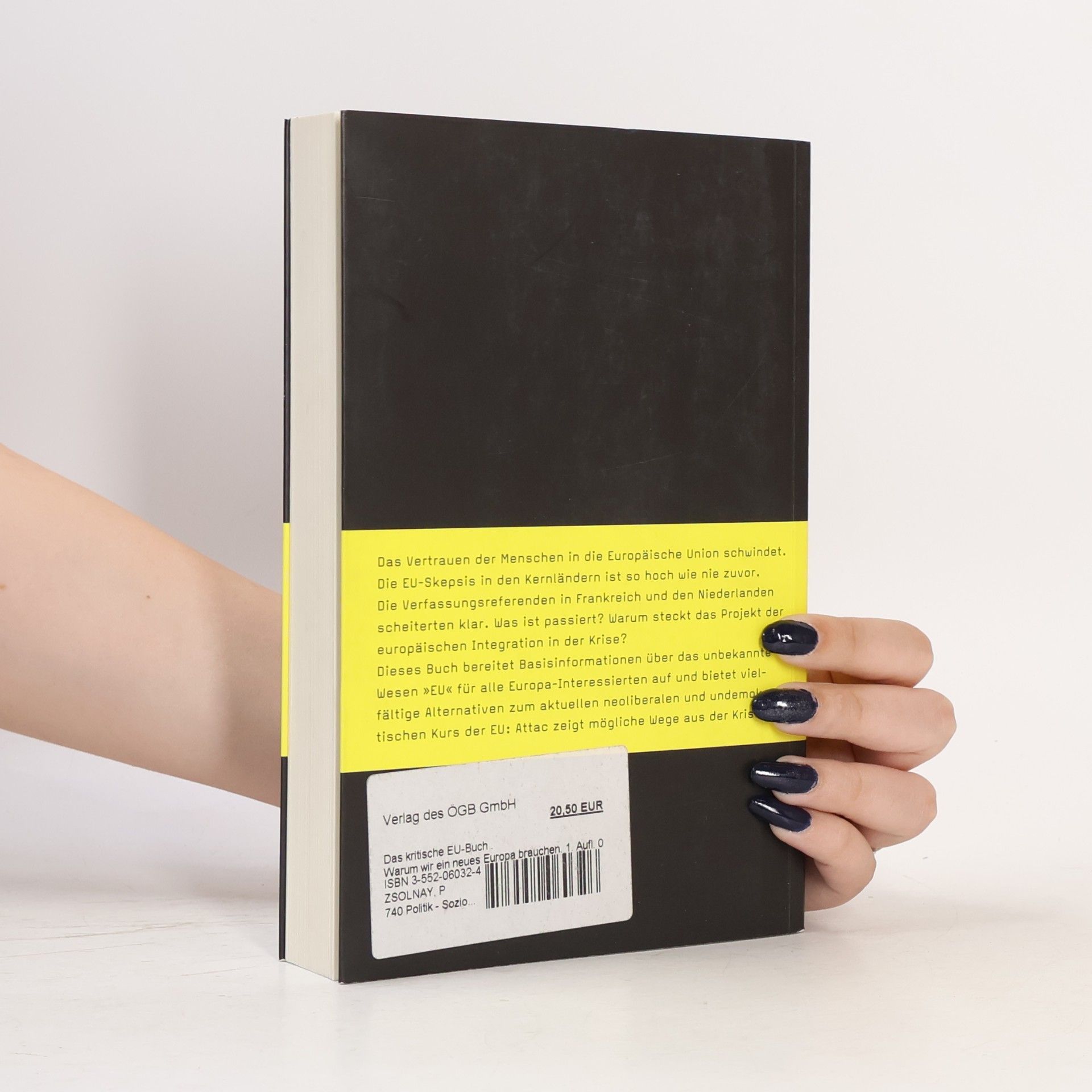 Kolektiv autorů Das kritische EU-Buch