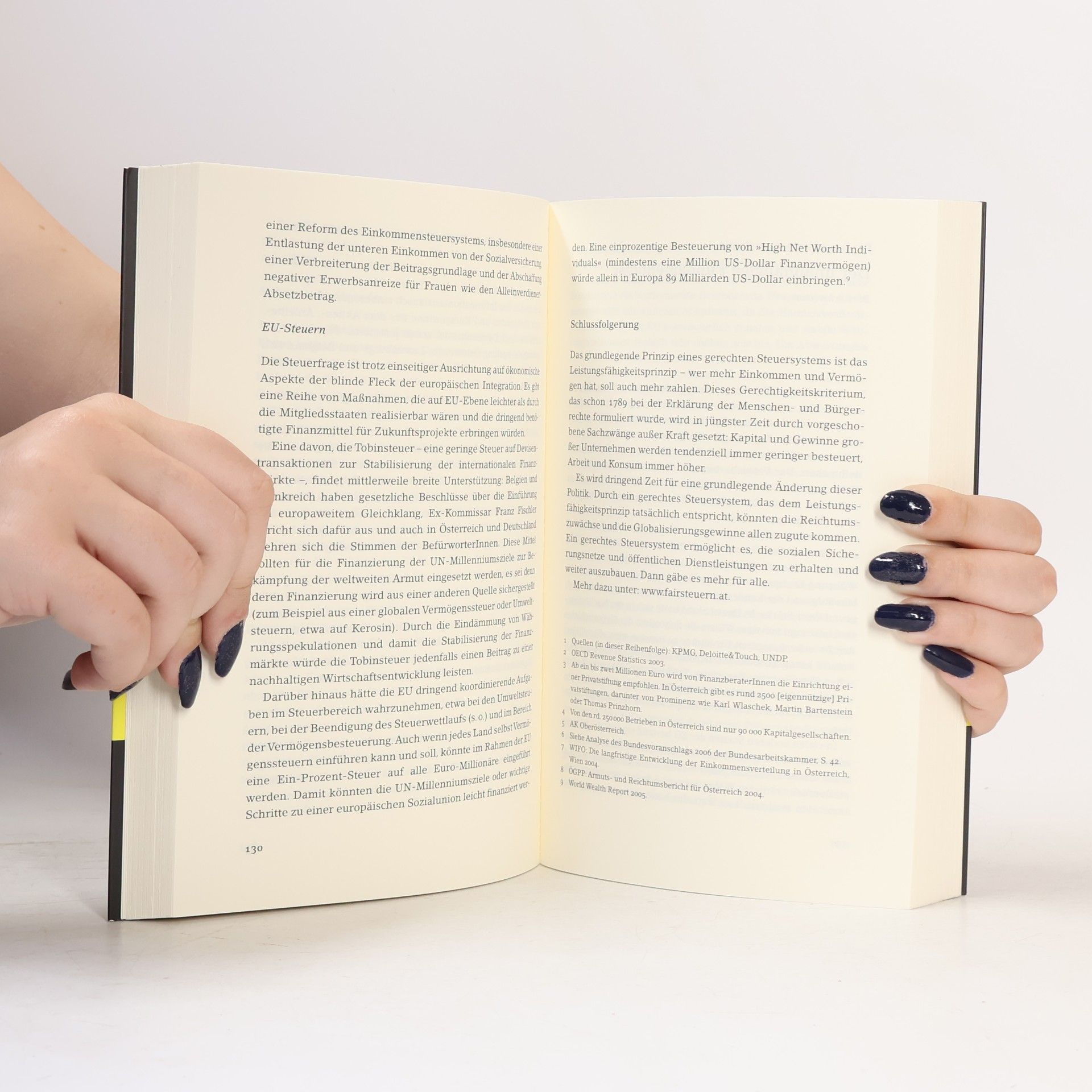 Kolektiv autorů Das kritische EU-Buch