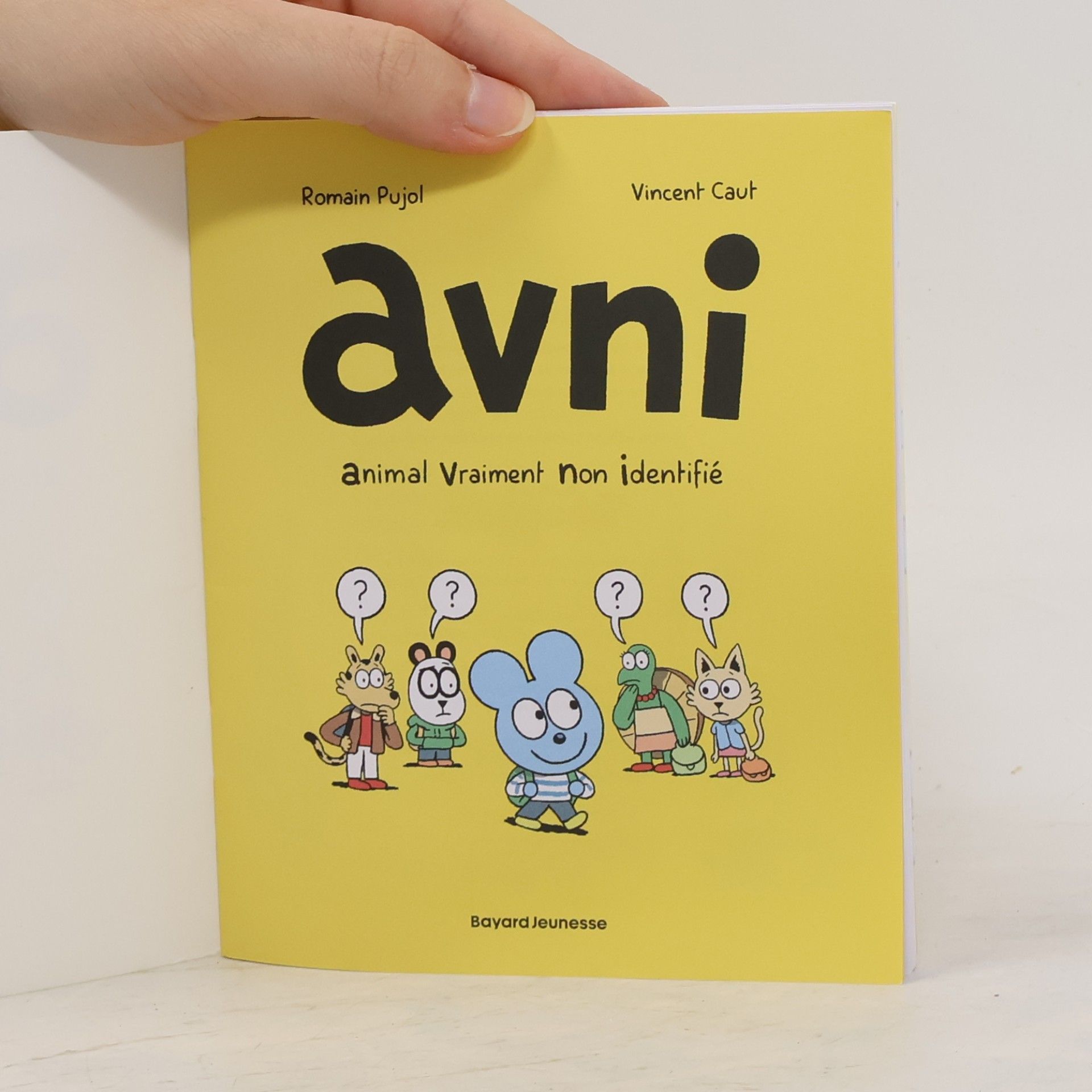 Romain Pujol Avni