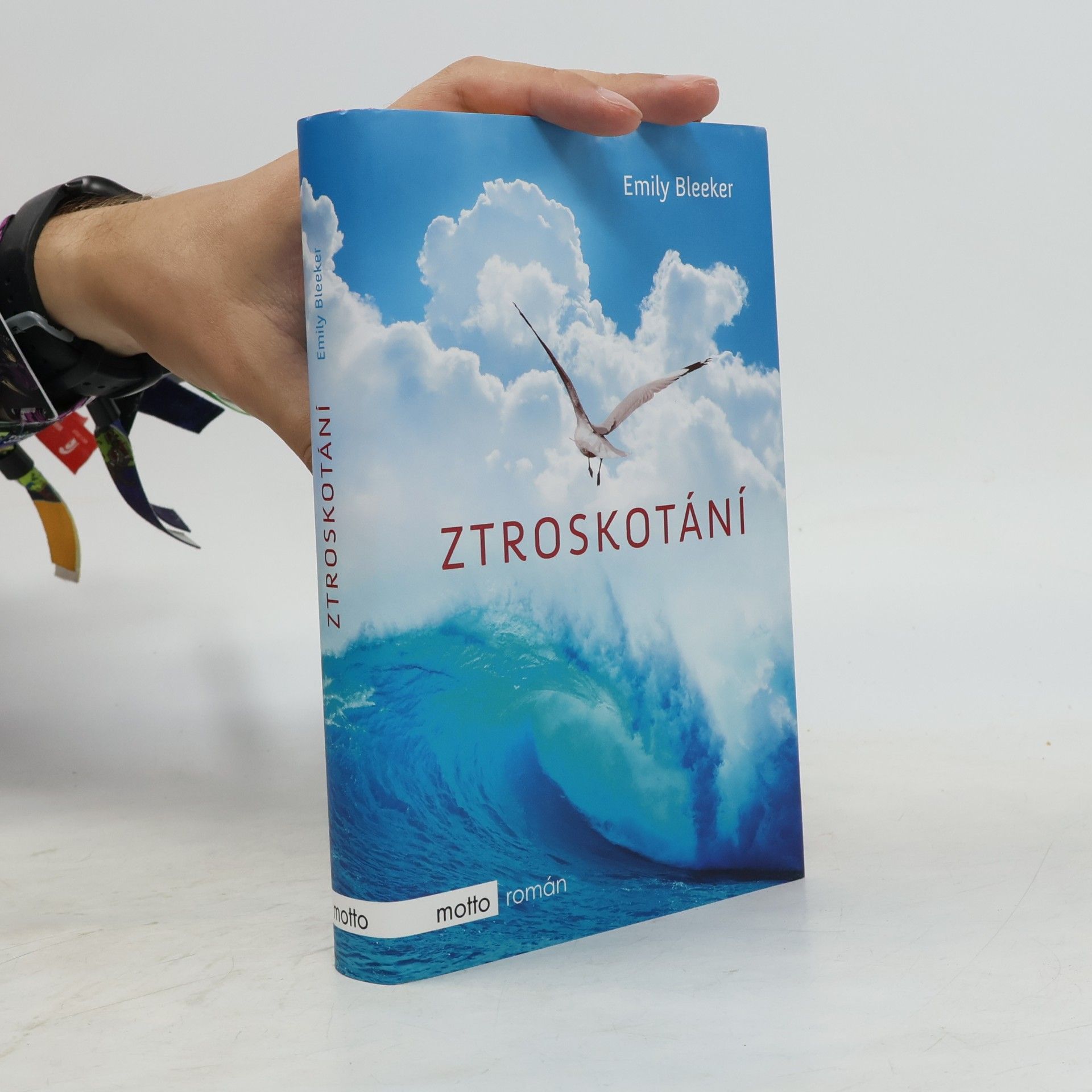 Emily Bleeker Ztroskotání