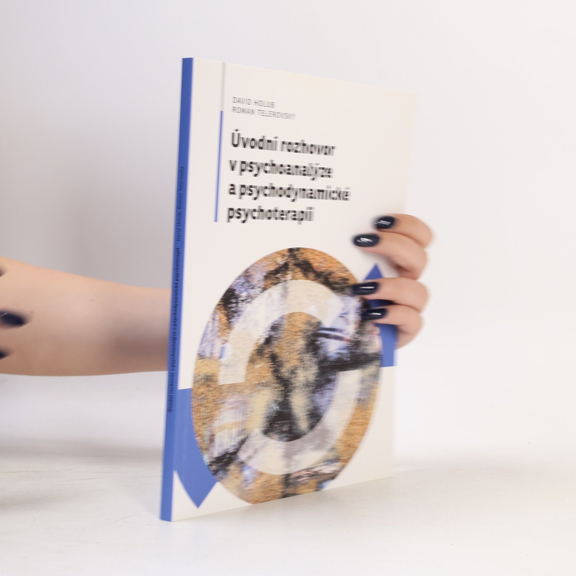 Holub David Úvodní rozhovor v psychoanalýze a psychodynamické psychoterapii