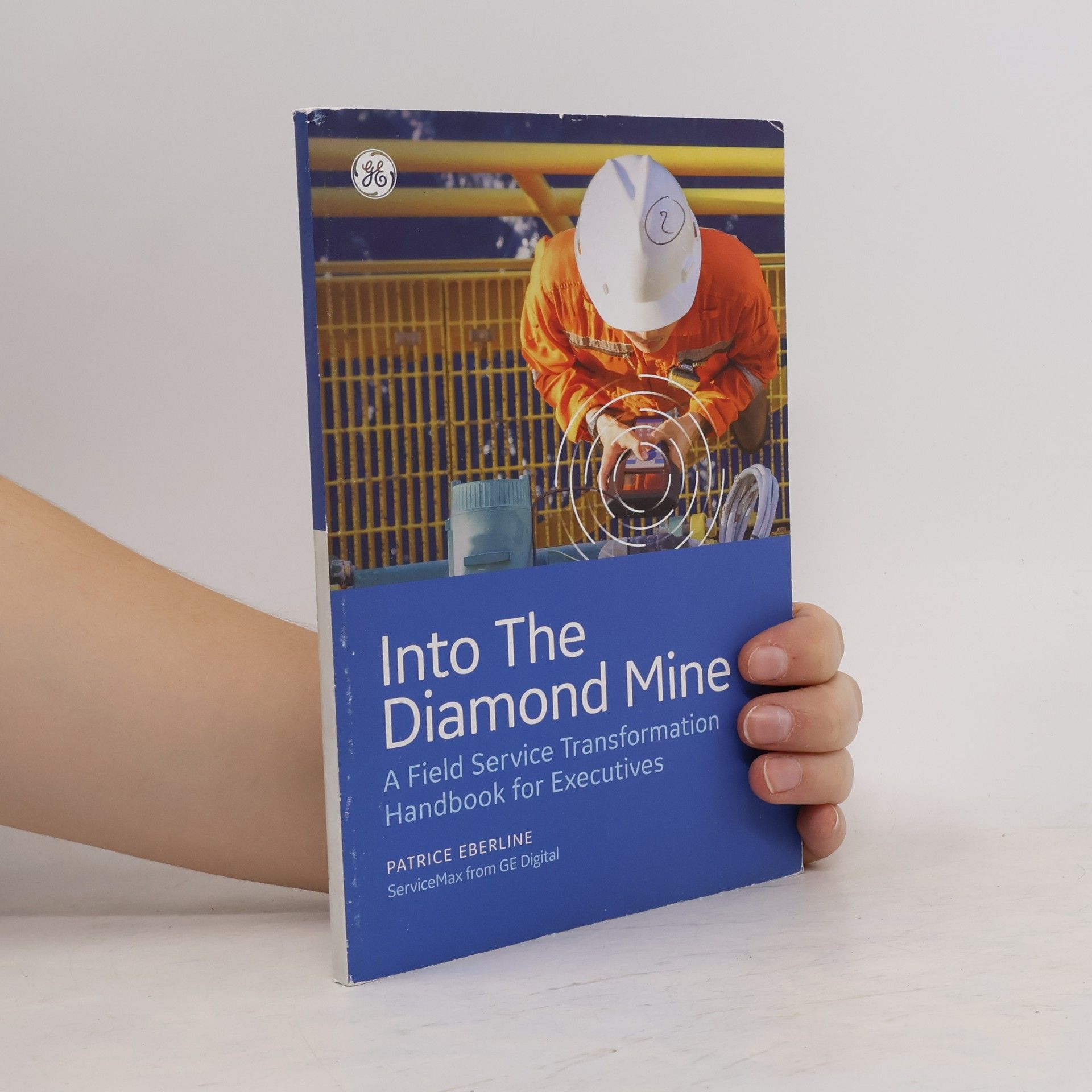 Patrice Eberline Into The Diamond Mine