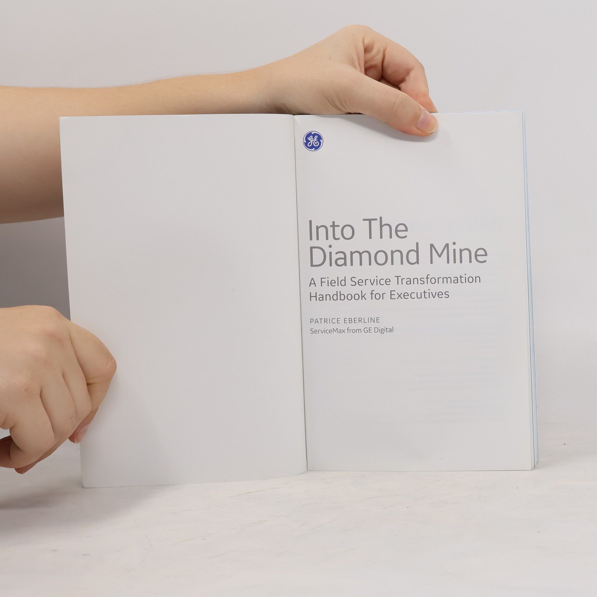 Patrice Eberline Into The Diamond Mine