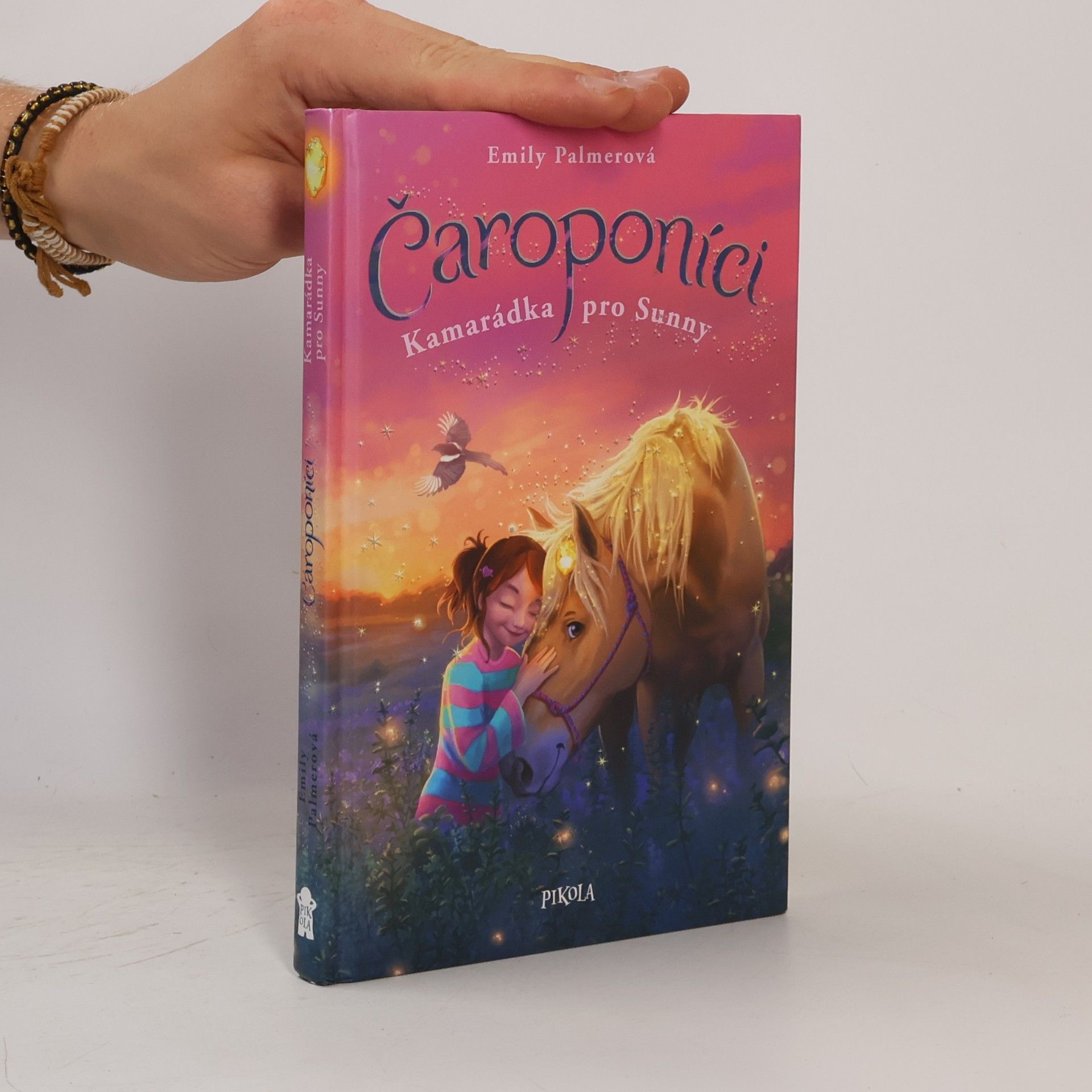 Anne Scheller Čaroponíci. Kamarádka pro Sunny