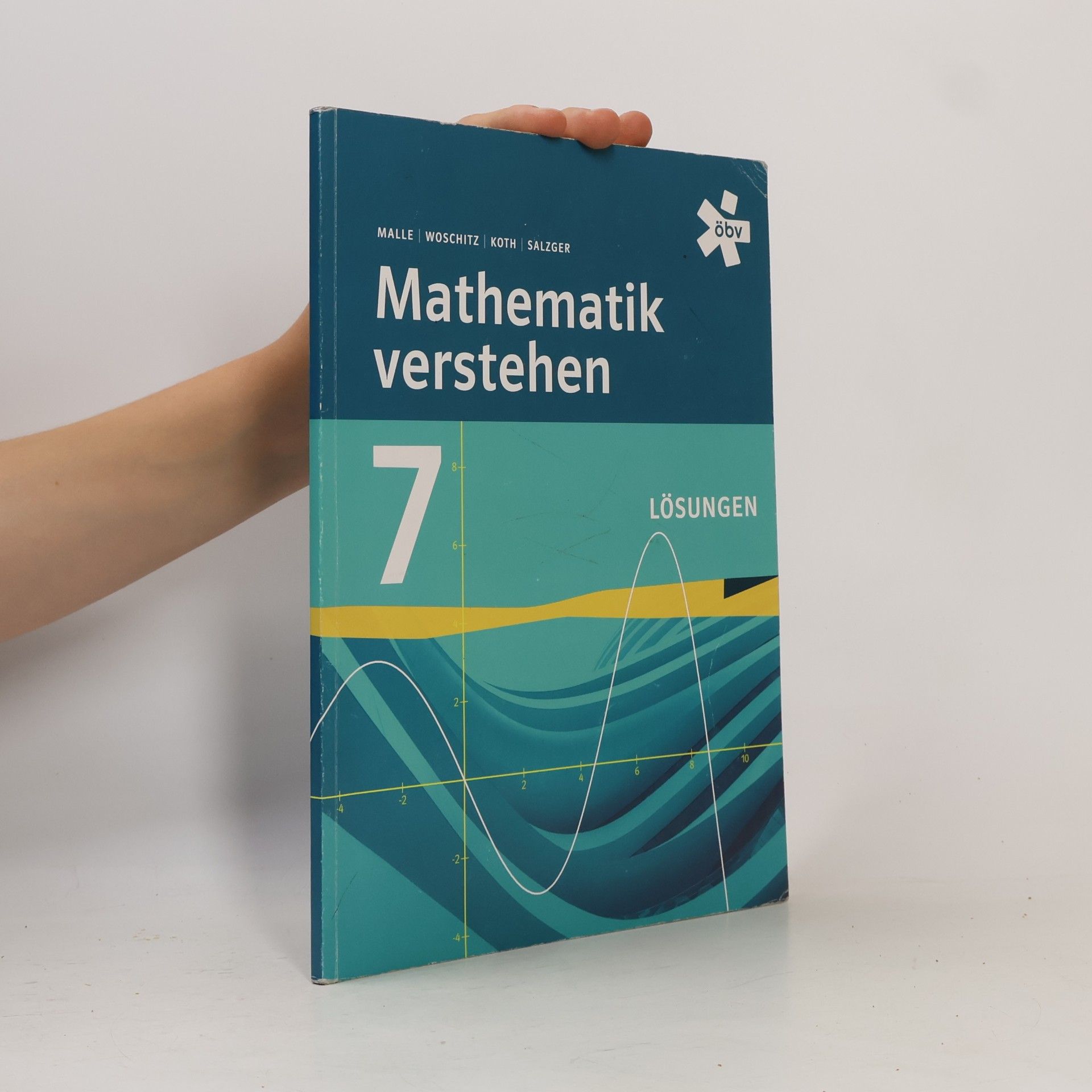 Mathematik verstehen 7