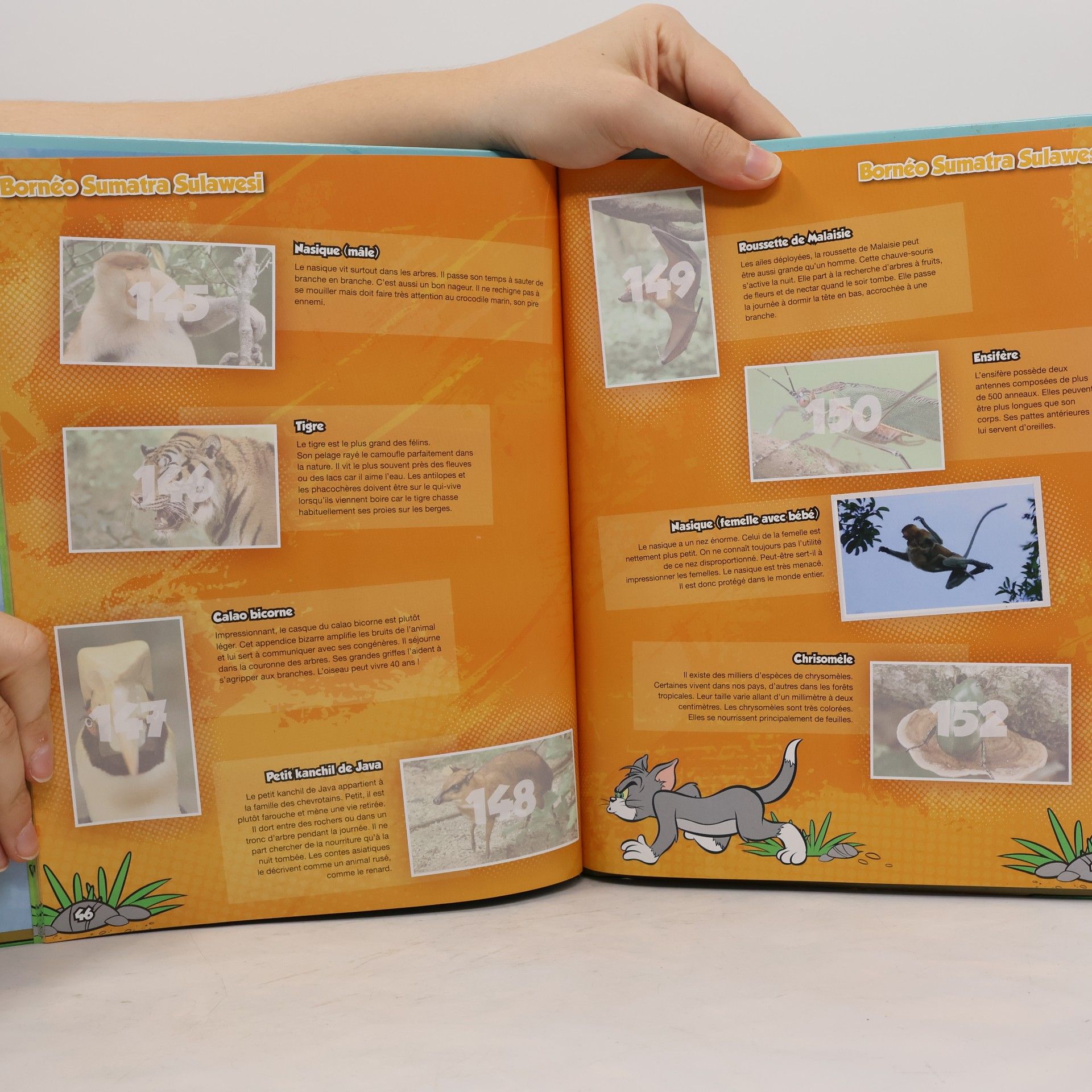 Various authors Tom & Jerry. Jungle Mania