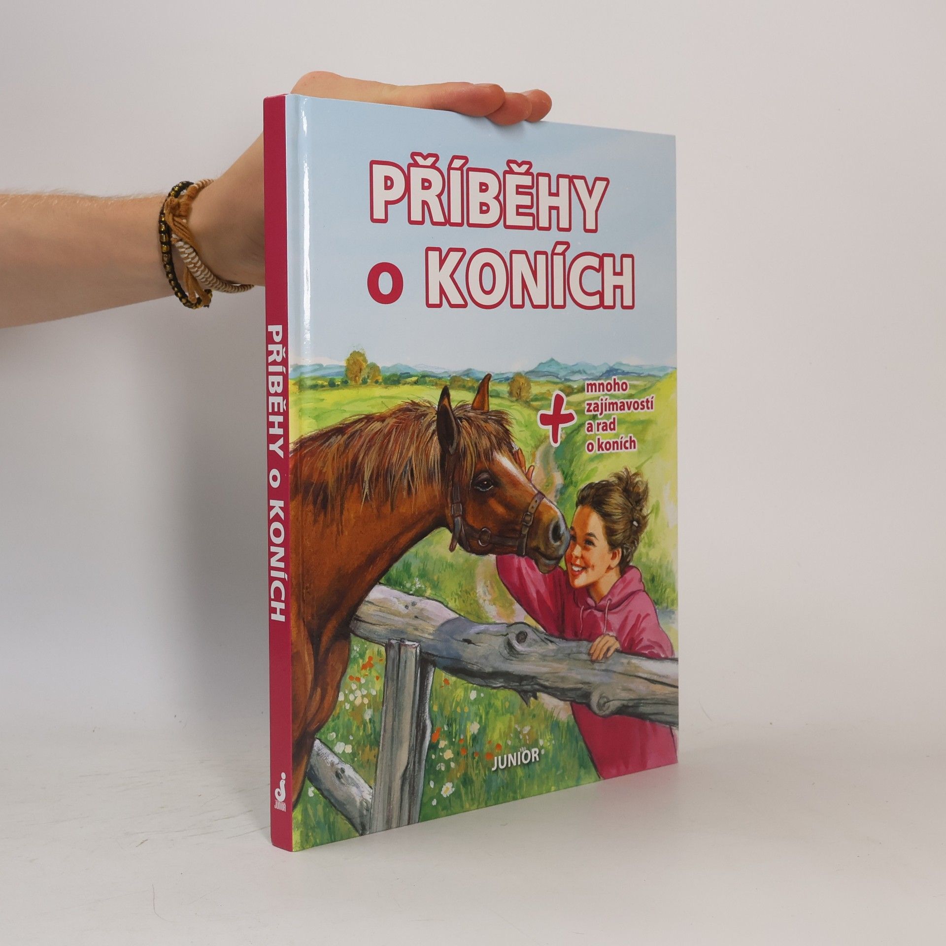 Kolektiv autorů Příběhy o koních