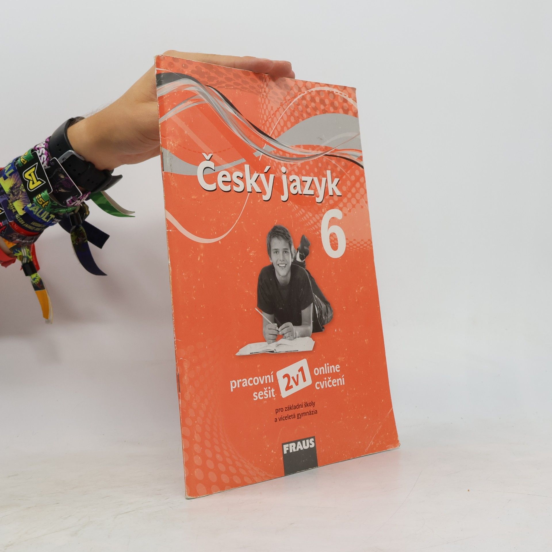 Český jazyk 6 : pracovní sešit - 2v1 - online cvičení : pro základní školy a víceletá gymnázia