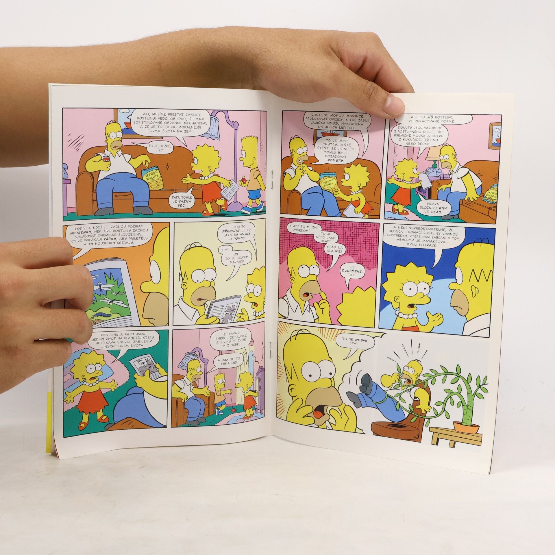 Matt Groening Simpsonovi - 9: Bart Simpson 9/2018: Výrobce hvězd