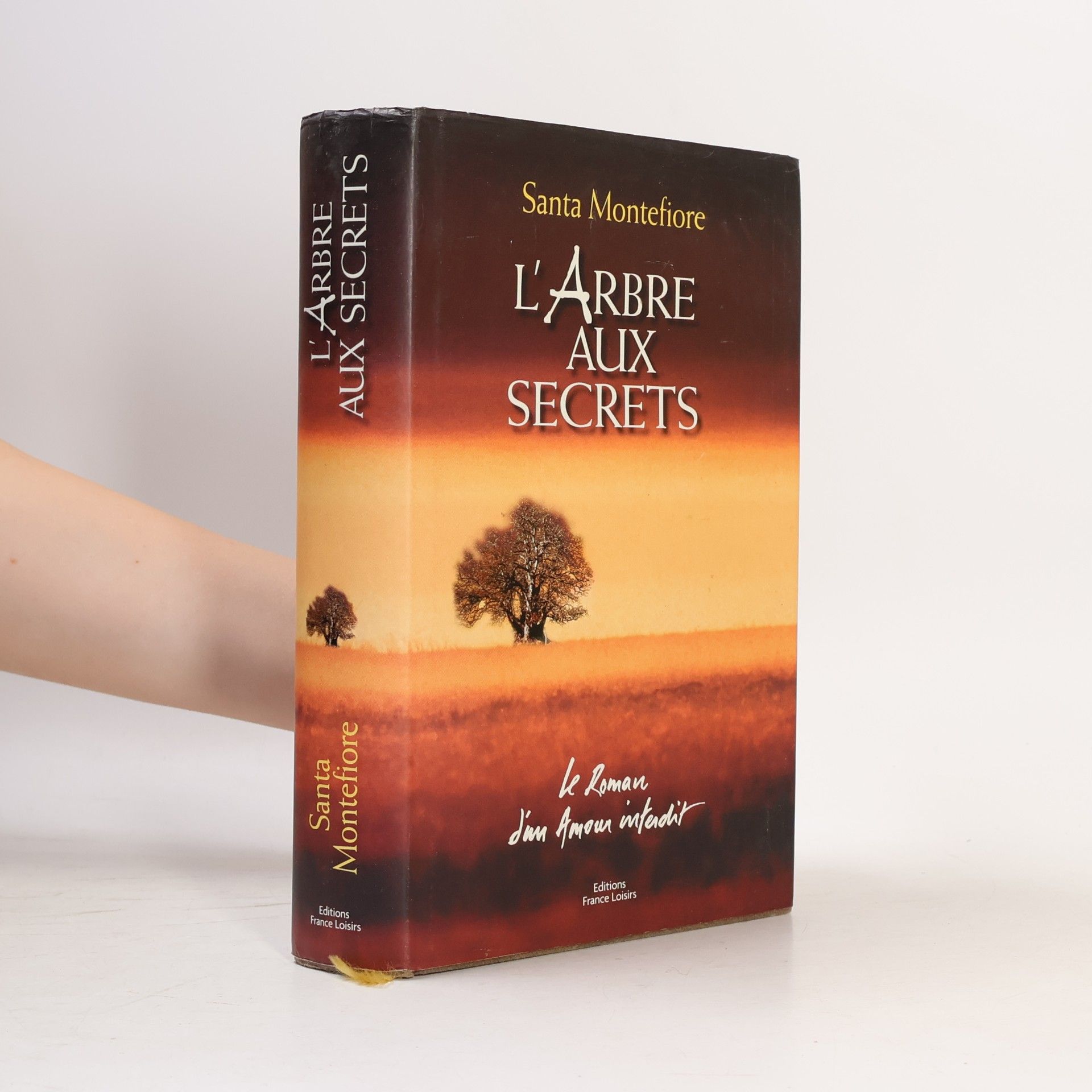 Santa Montefiore L'Arbre aux secrets