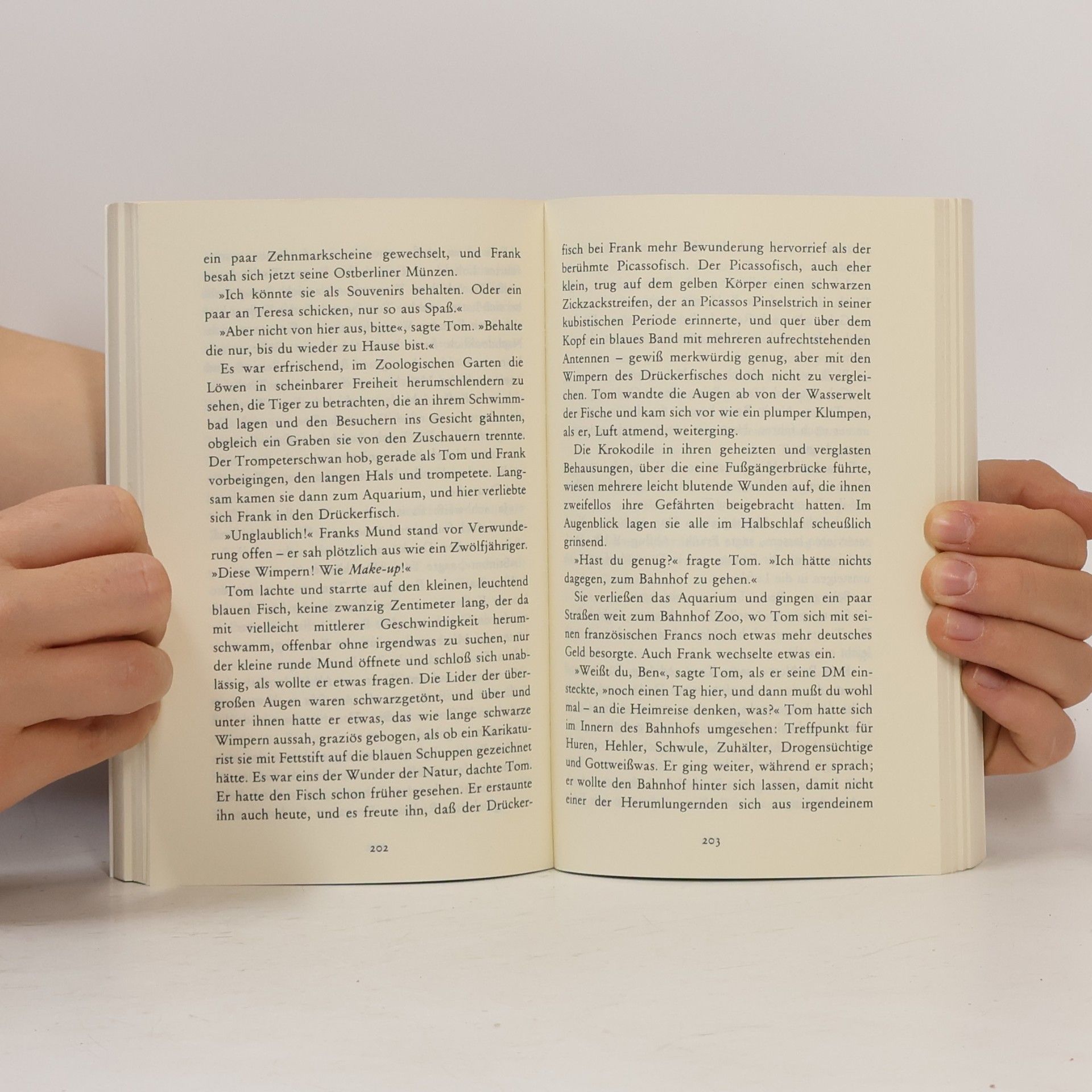 Patricia Highsmith Der Junge, der Ripley folgte