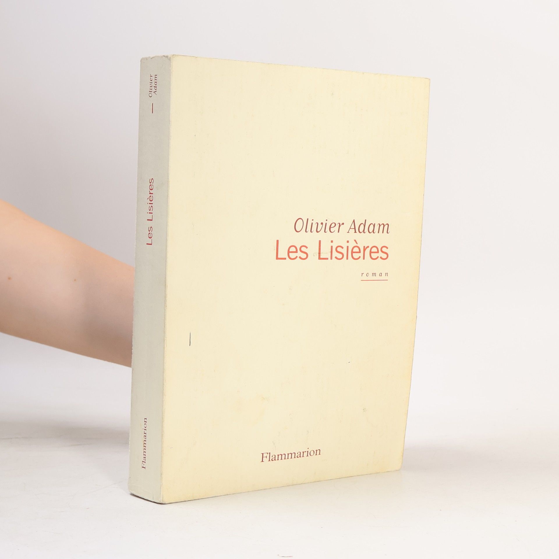 Olivier Adam Les lisières