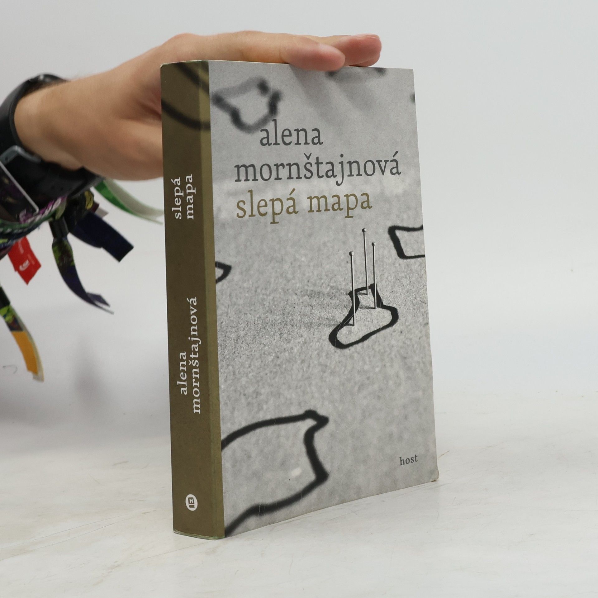 Alena Mornštajnová Slepá mapa