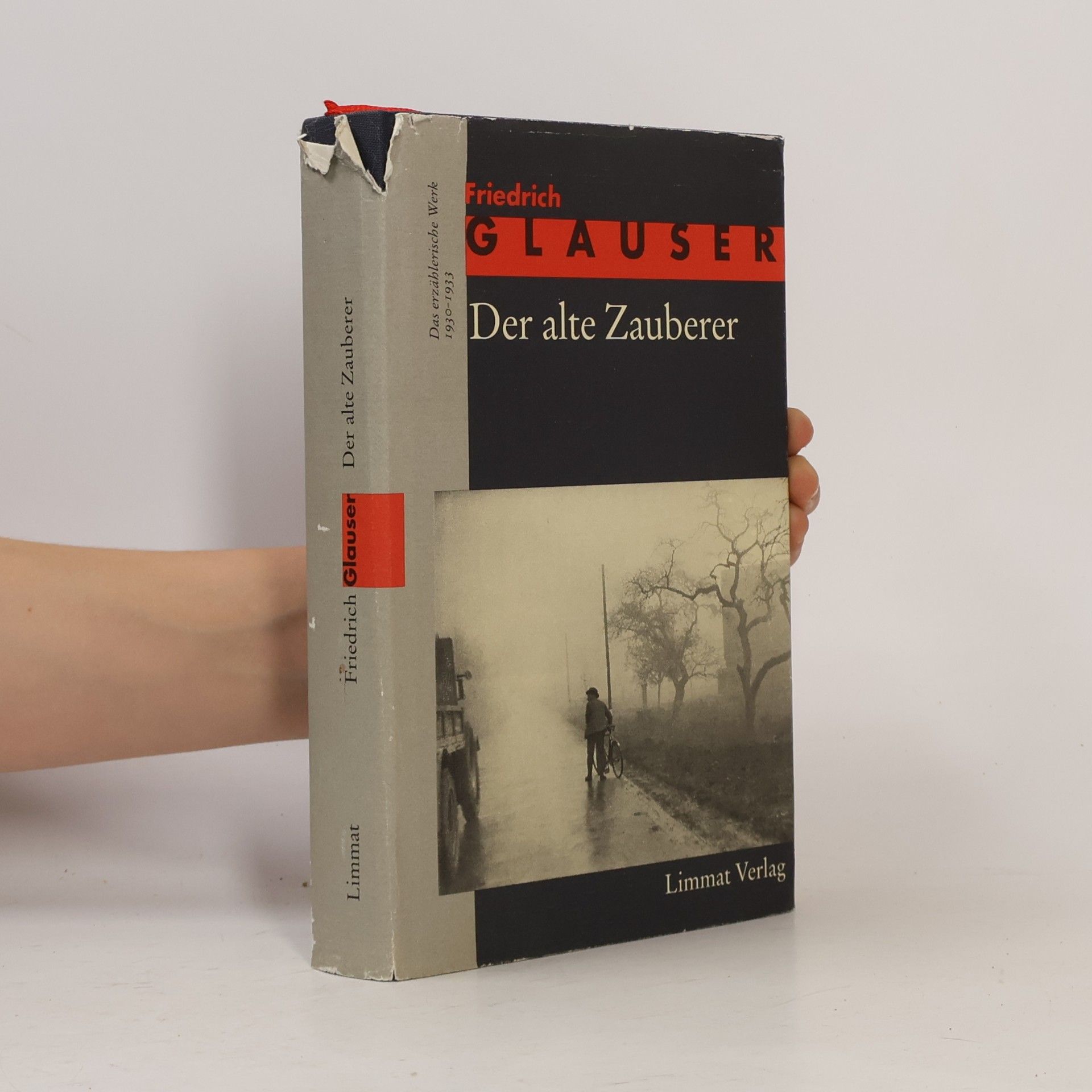 Manfred Papst Das erzählerische Werk. Band 2 1930-1933