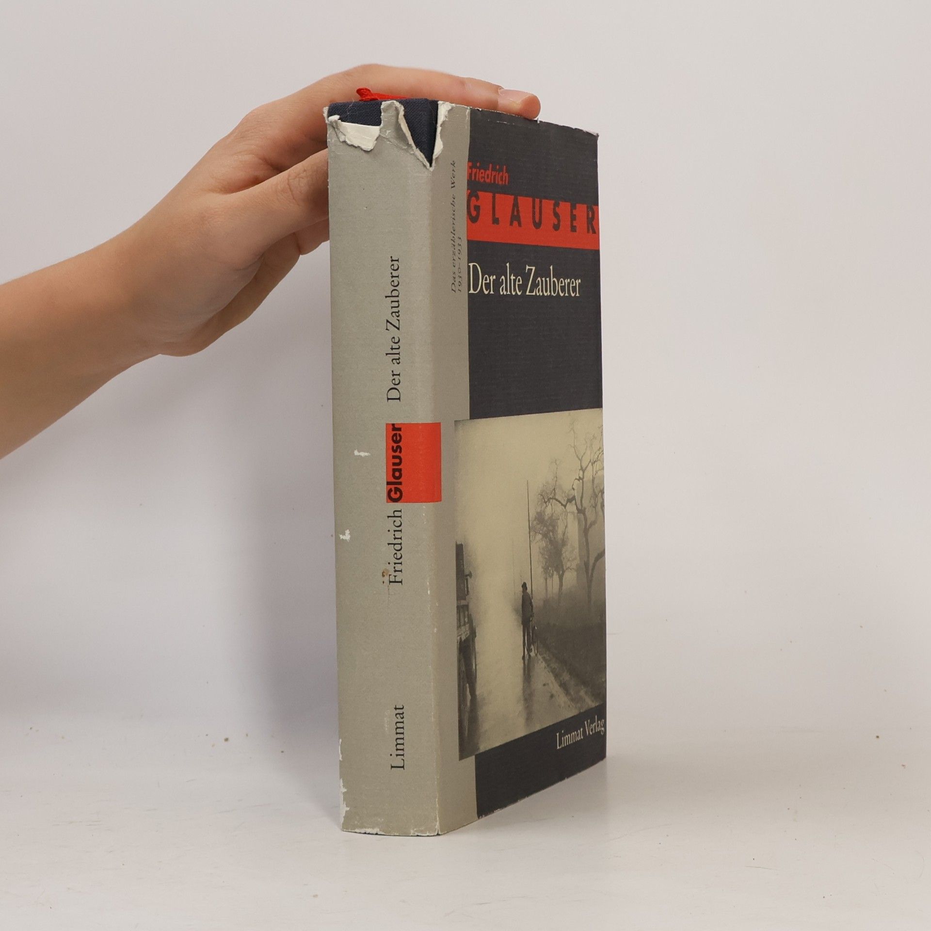 Friedrich Glauser Das erzählerische Werk. Band 2 1930-1933