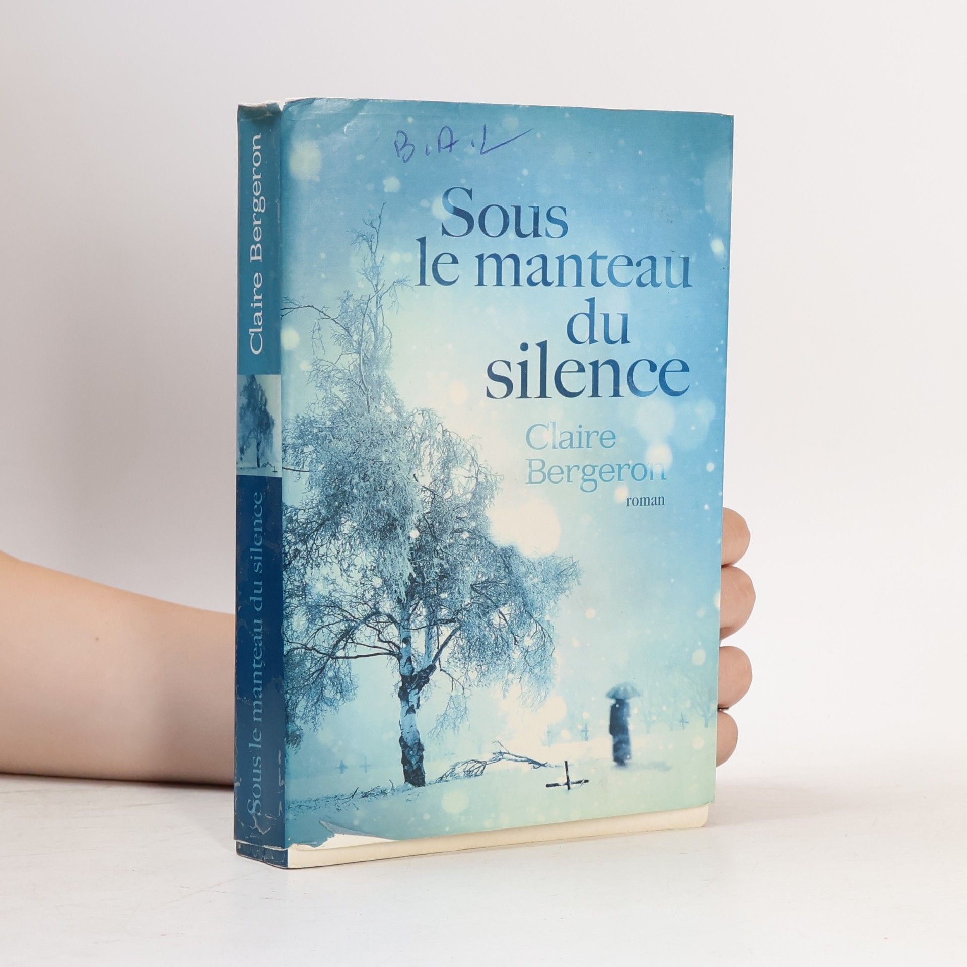Claire Bergeron Sous le manteau du silence