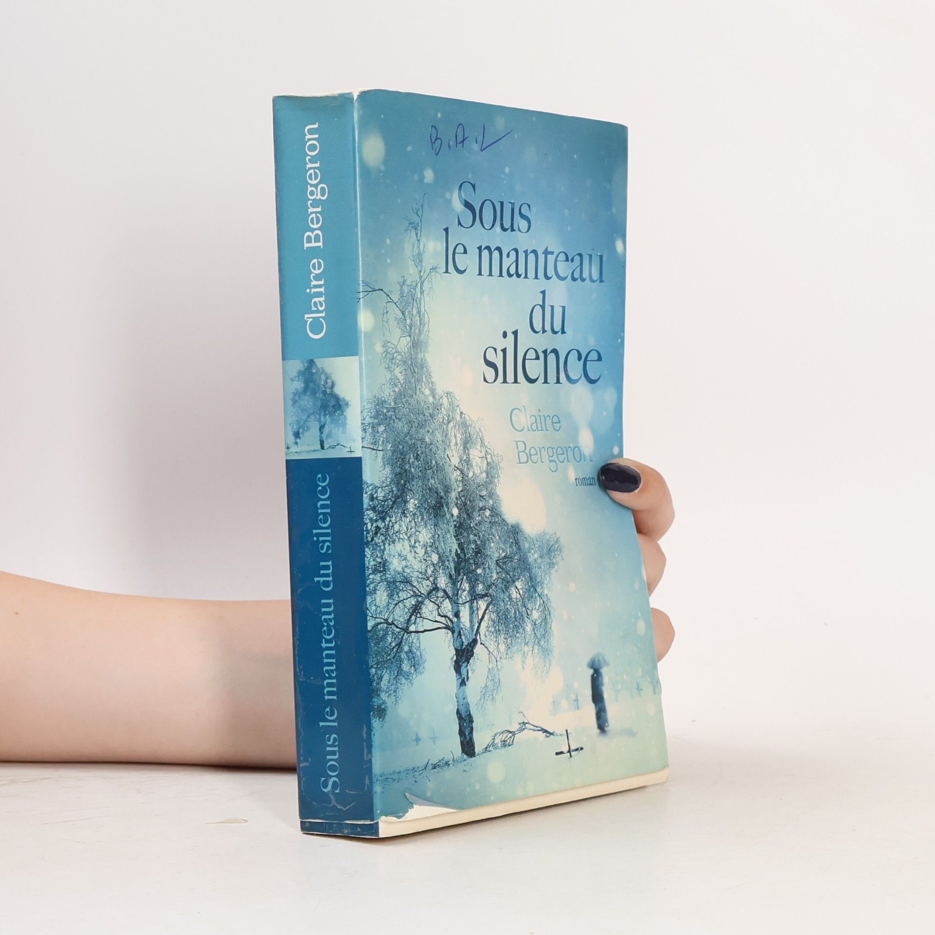 Claire Bergeron Sous le manteau du silence