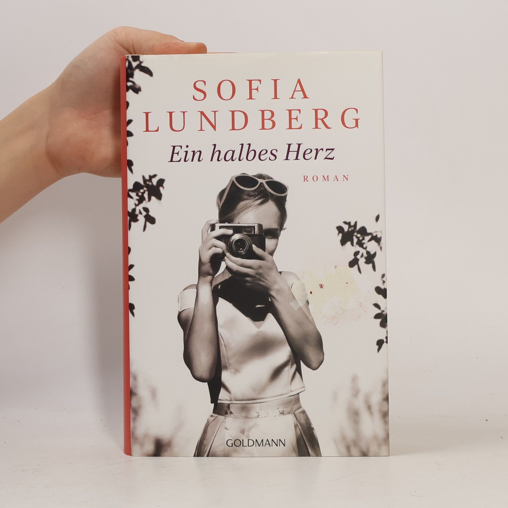 Sofia Lundberg Ein halbes Herz