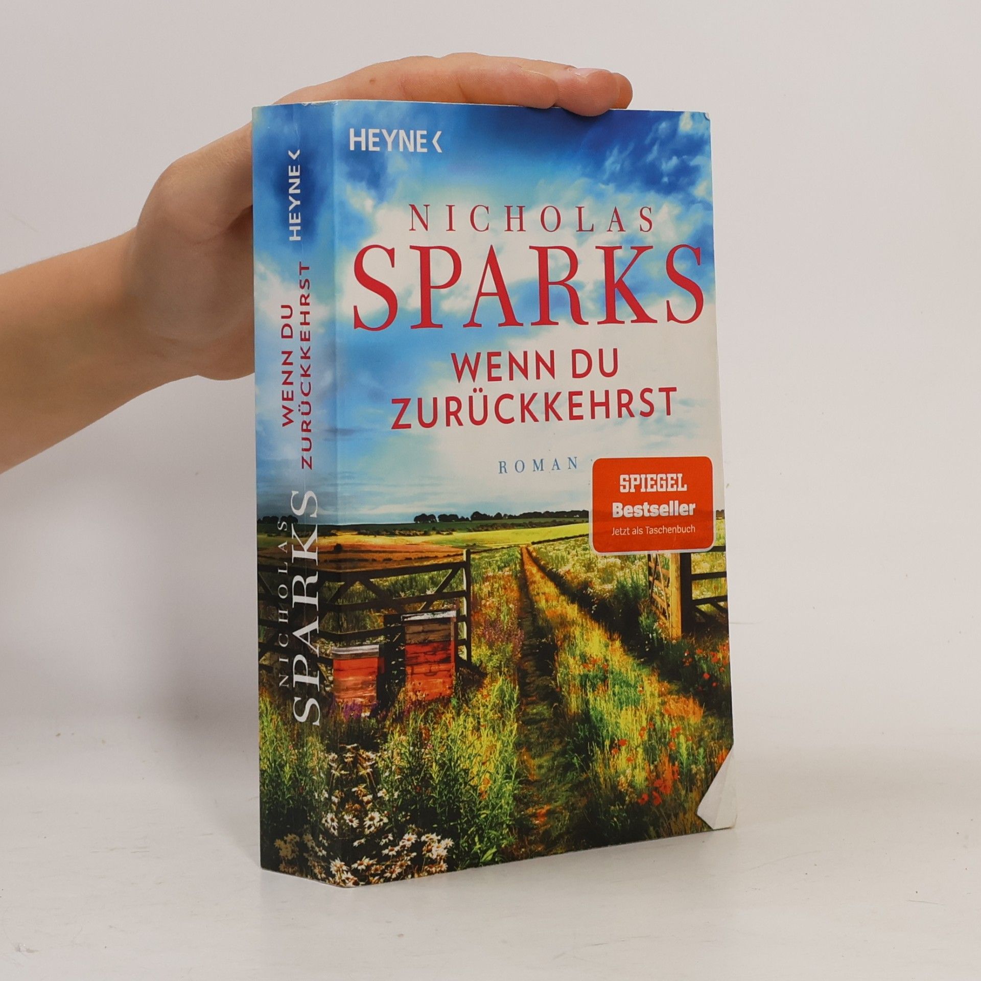Nicholas Sparks Wenn du zurückkehrst
