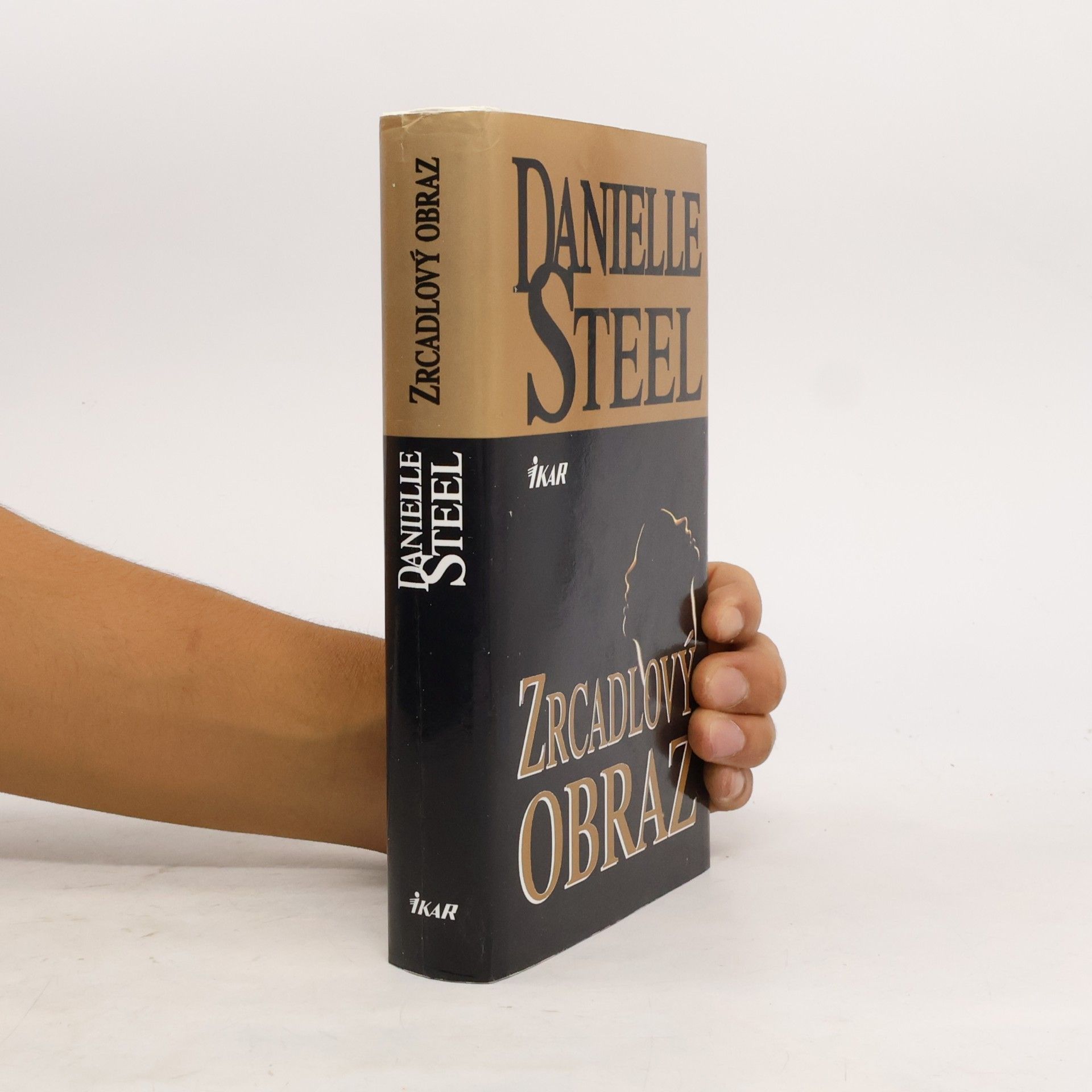 Danielle Steel Zrcadlový obraz
