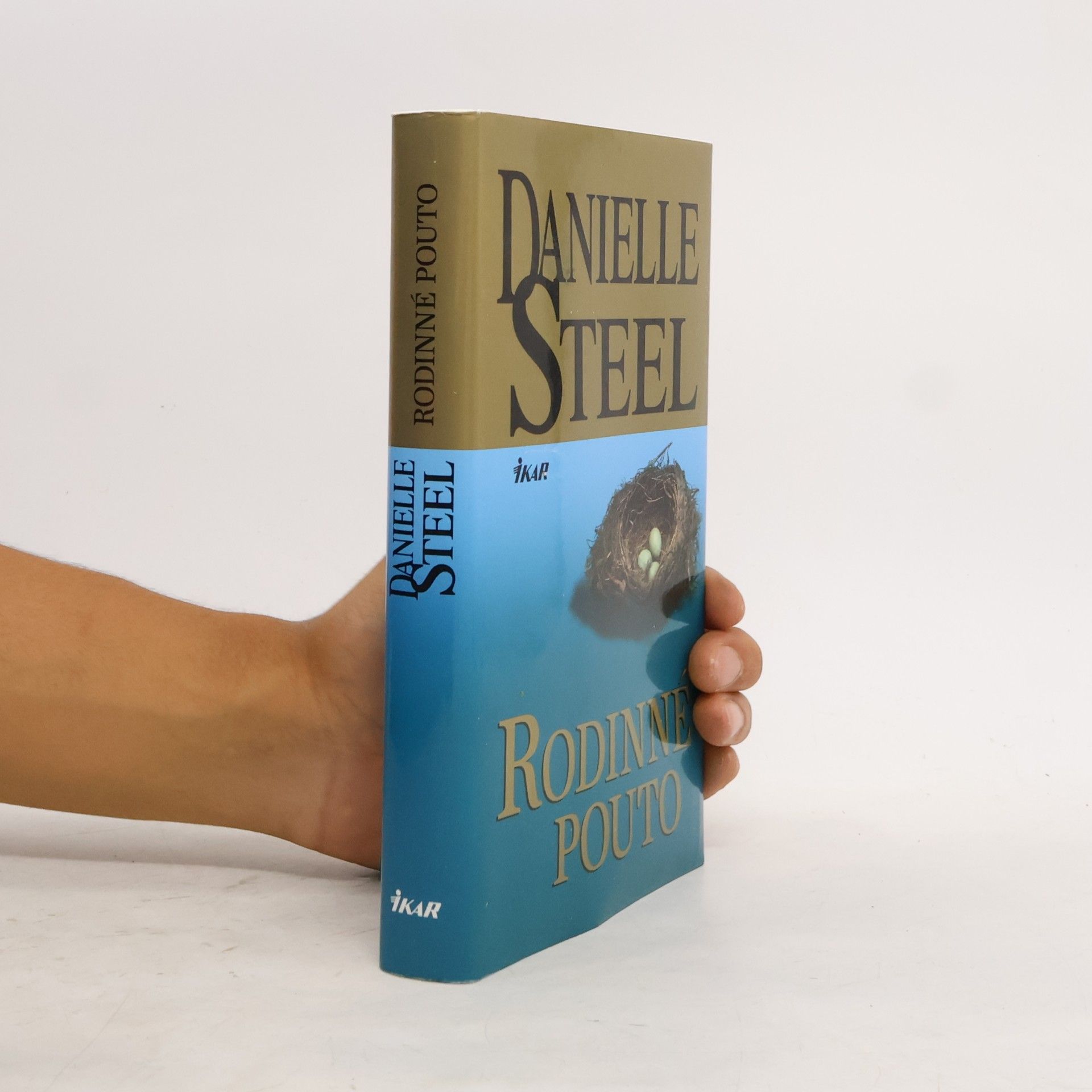 Danielle Steel Rodinné pouto
