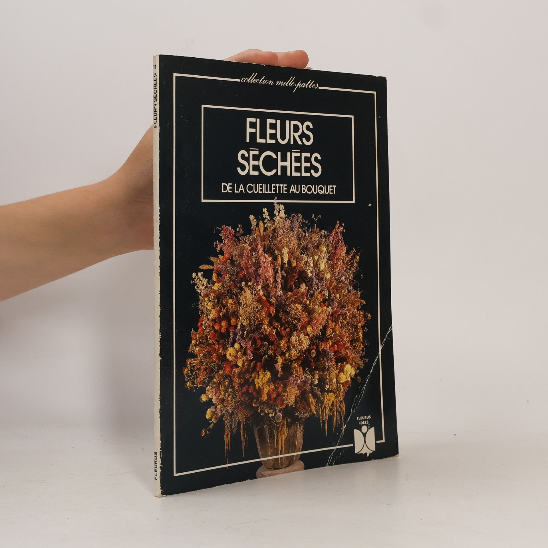 Arie van der Lippe Collection Mille-Pattes: Fleurs séchées
