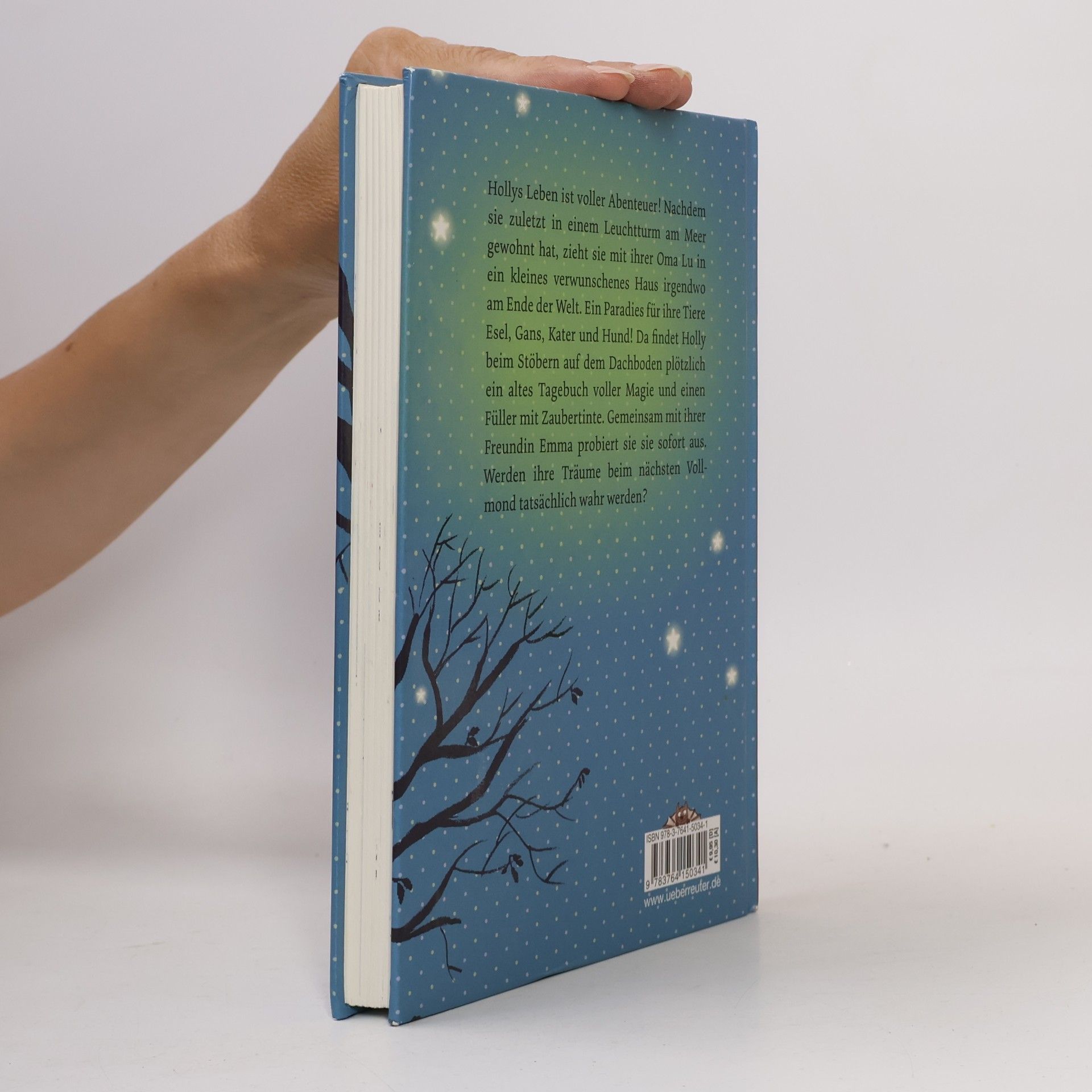 Sibylle Rieckhoff Holly und das Zaubertagebuch