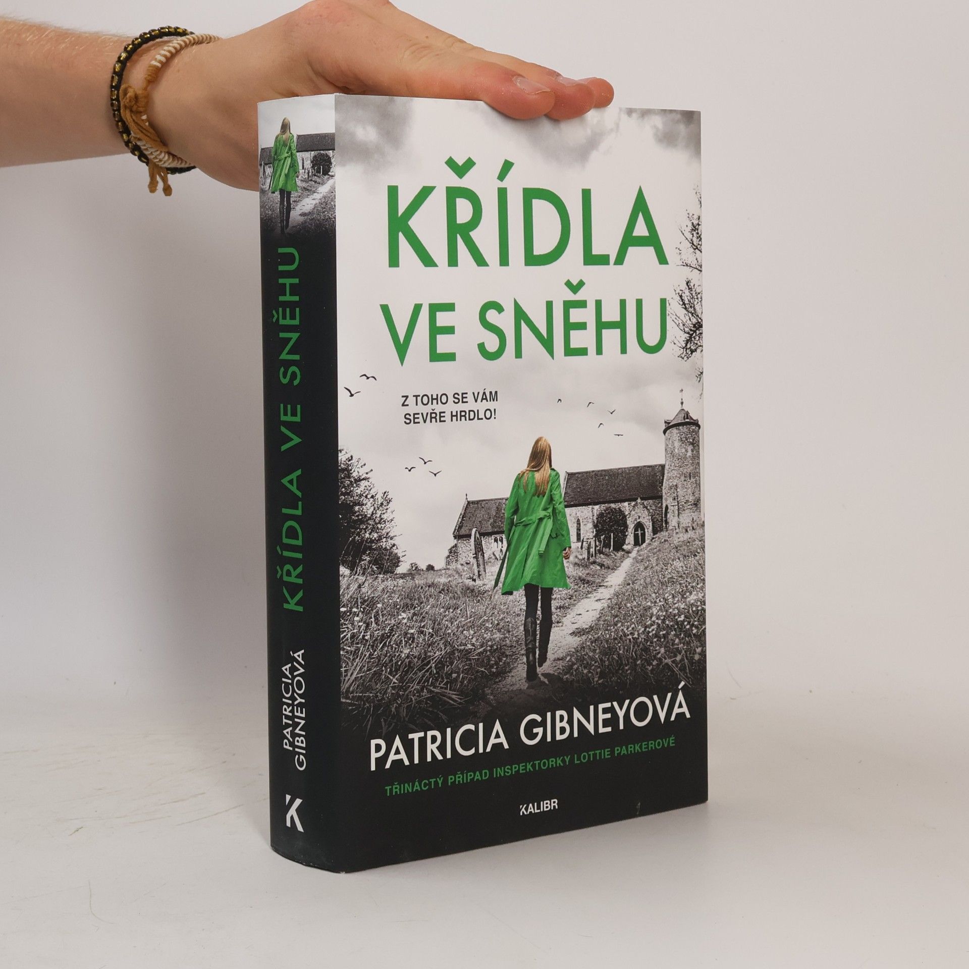 Patricia Gibney Křídla ve sněhu