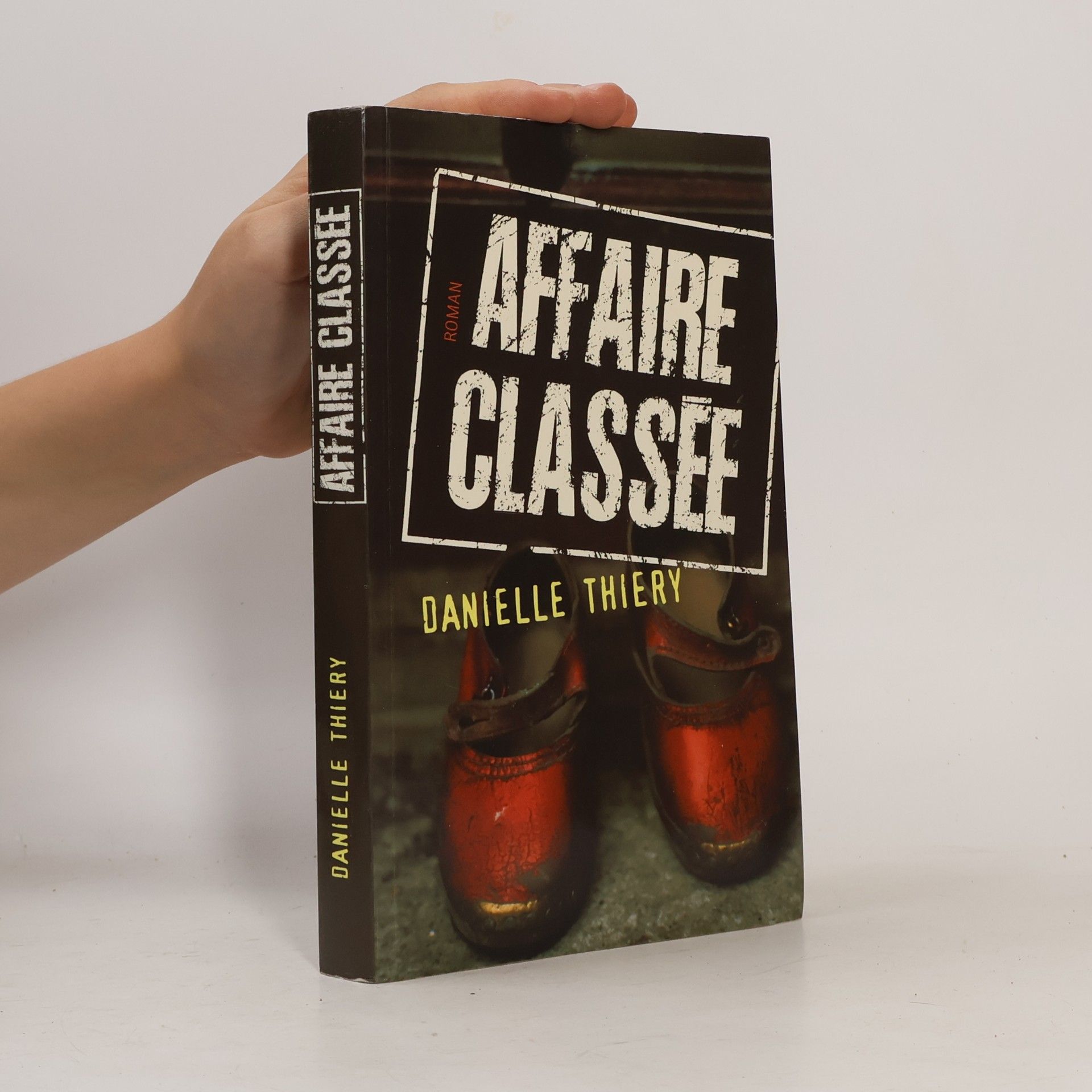 Danielle Thiéry Affaire classée