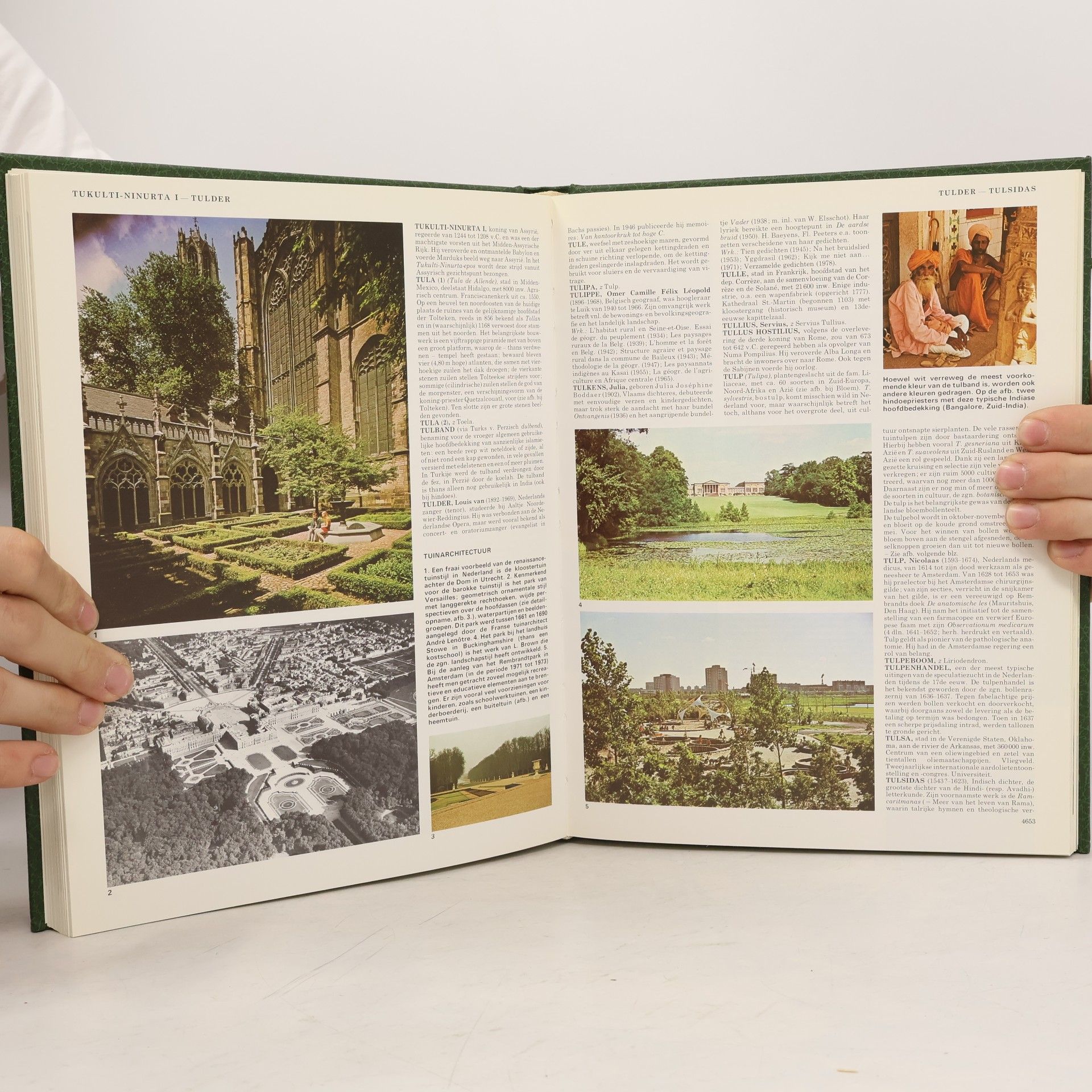 Various authors Nieuwe Geillustreerde Lekturama Encyclopedie 18 Tall-Veld