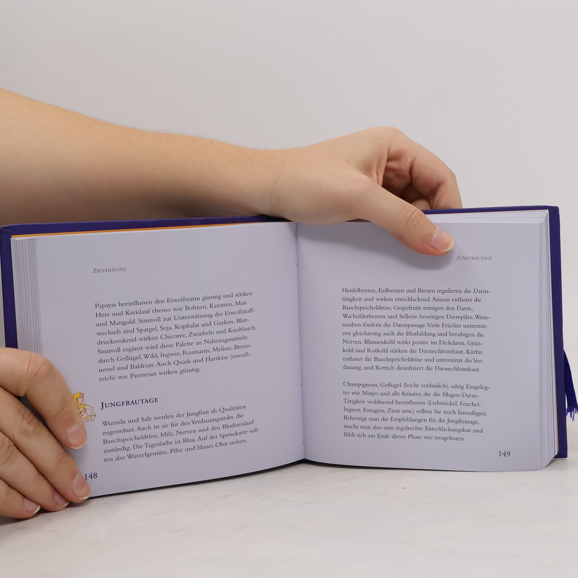 Birgit Althaus Das Mondbuch