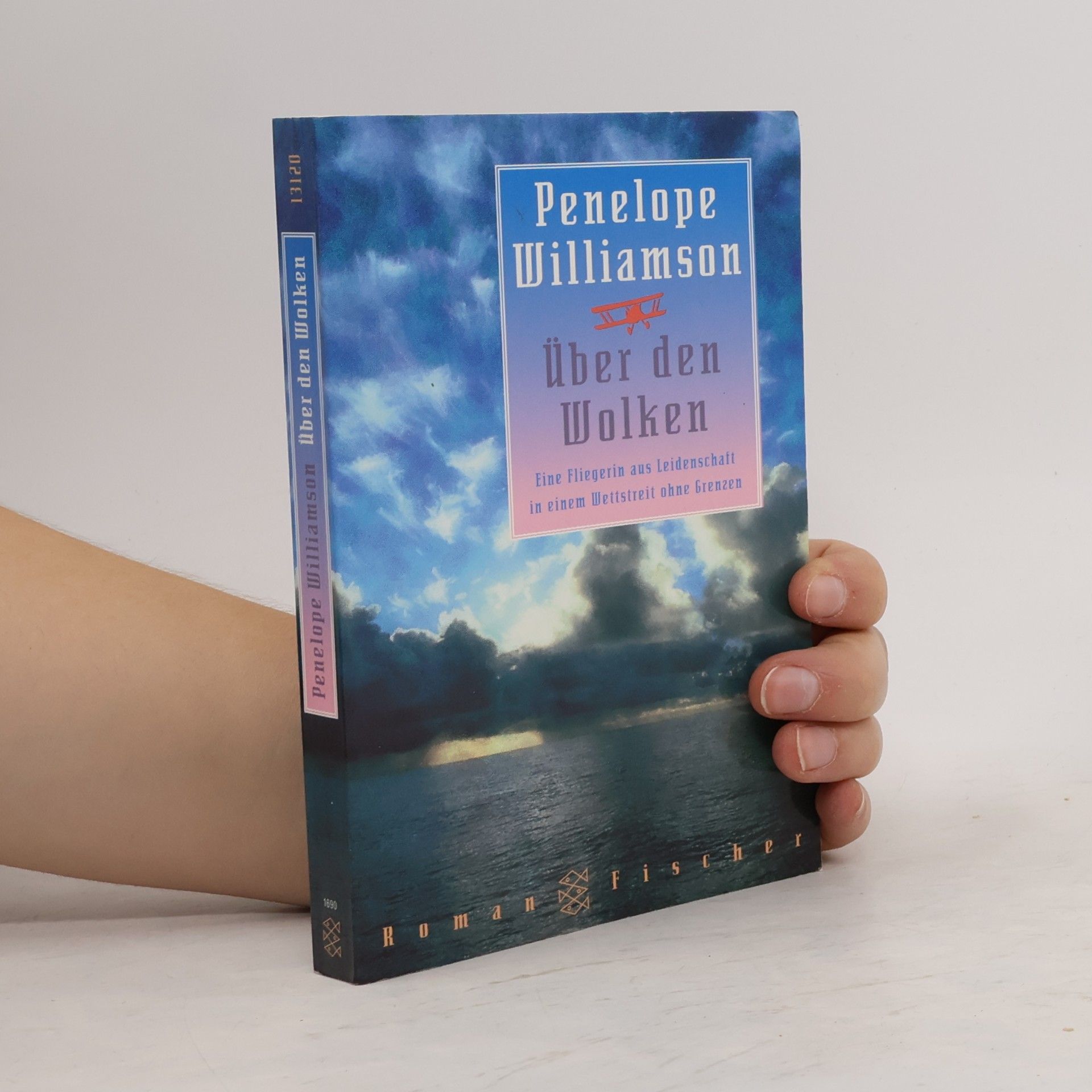 Penelope Williamson Über den Wolken