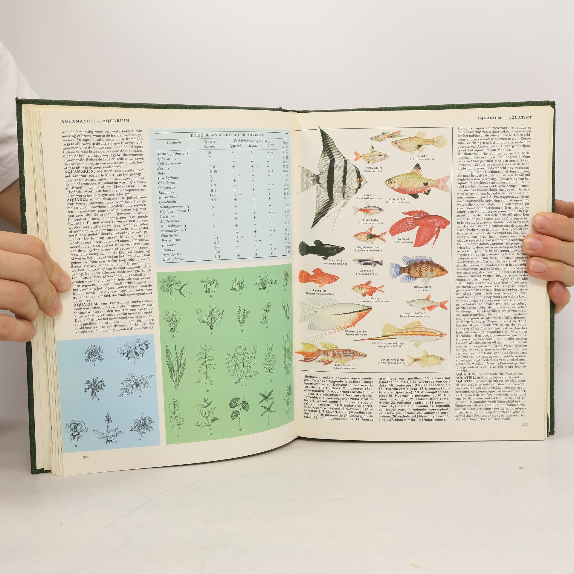 Various authors Nieuwe Geïllustreerde Lekturama Encyclopedie 2 Ange-Bamb