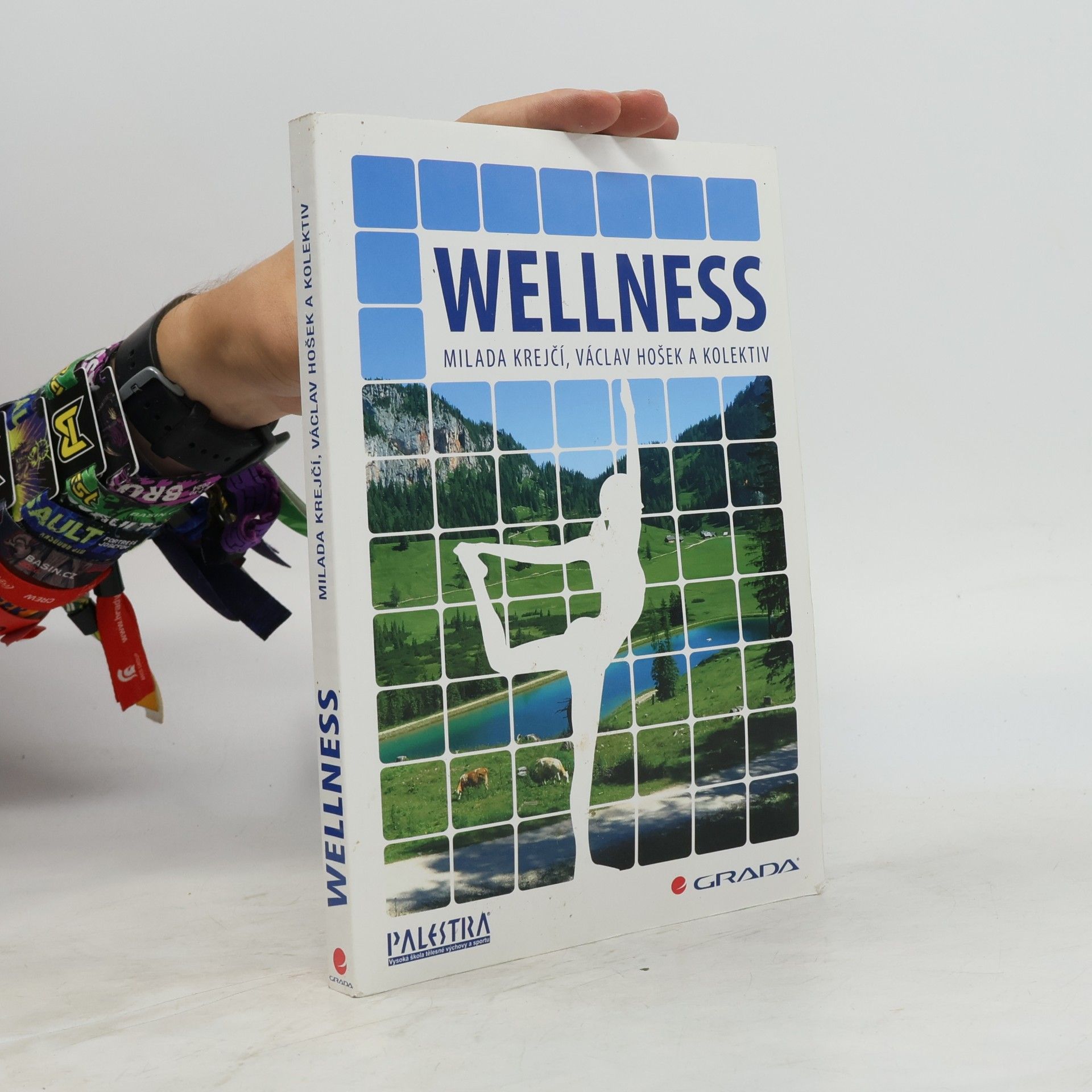 Milada Krejčí Wellness