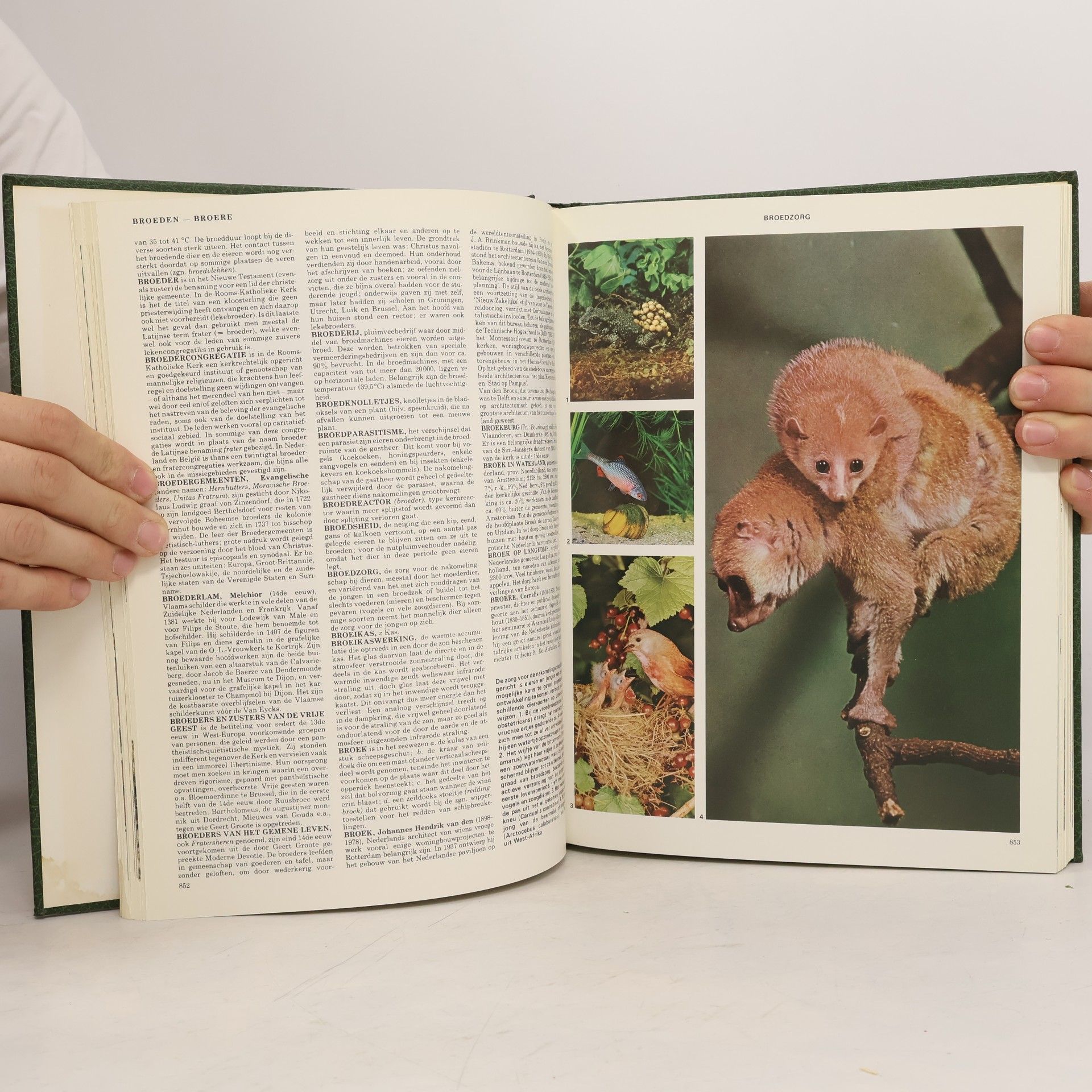 Various authors Nieuwe Geïllustreerde Lekturama Encyclopedie 4 BOSB-CHIN