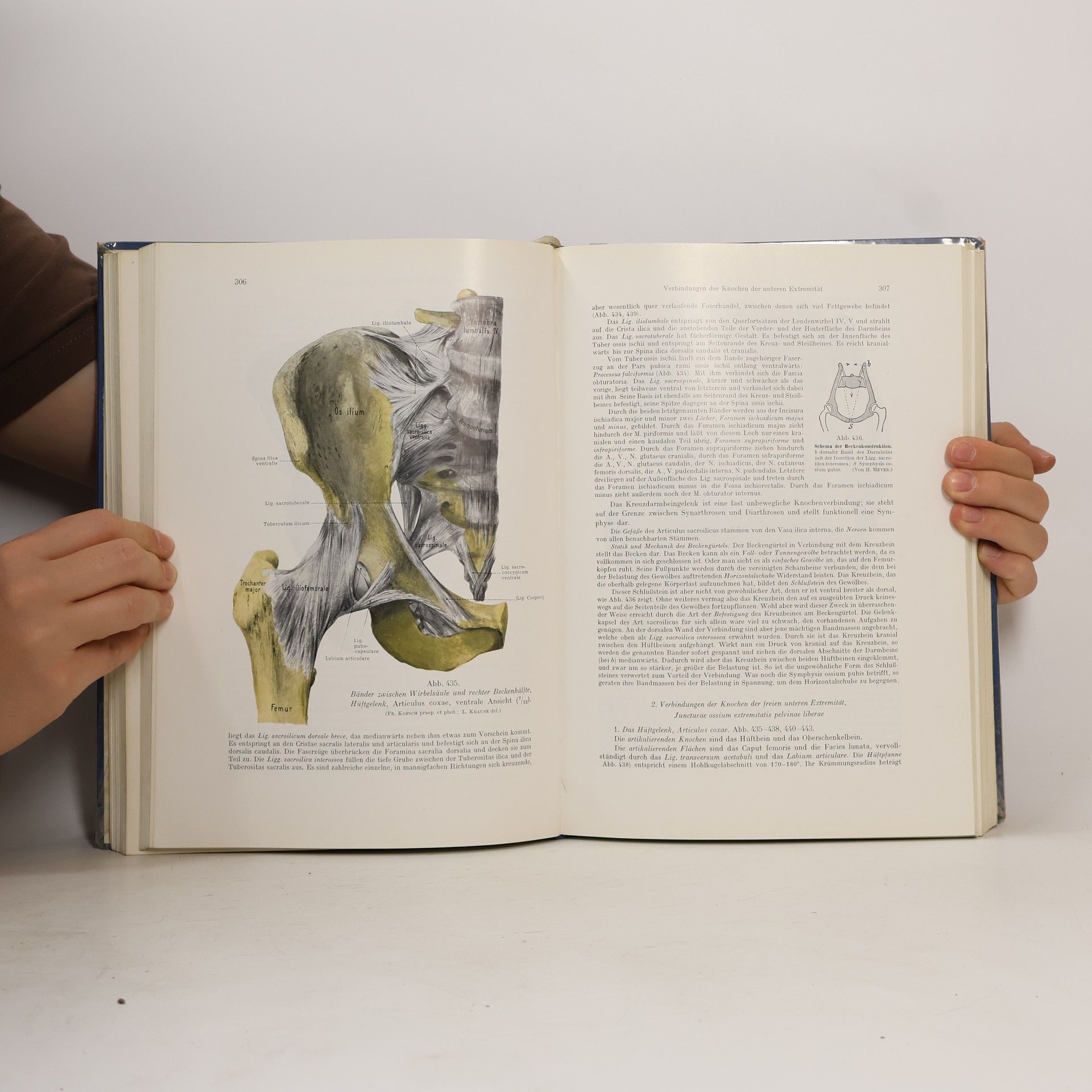 Friedrich Kopsch Lehrbuch und Atlas der Anatomie des Menschen (Band I)