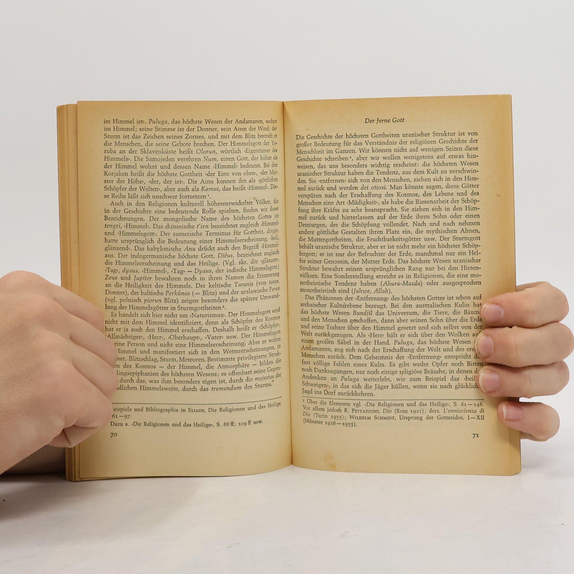 Mircea Eliade Das Heilige und das Profane