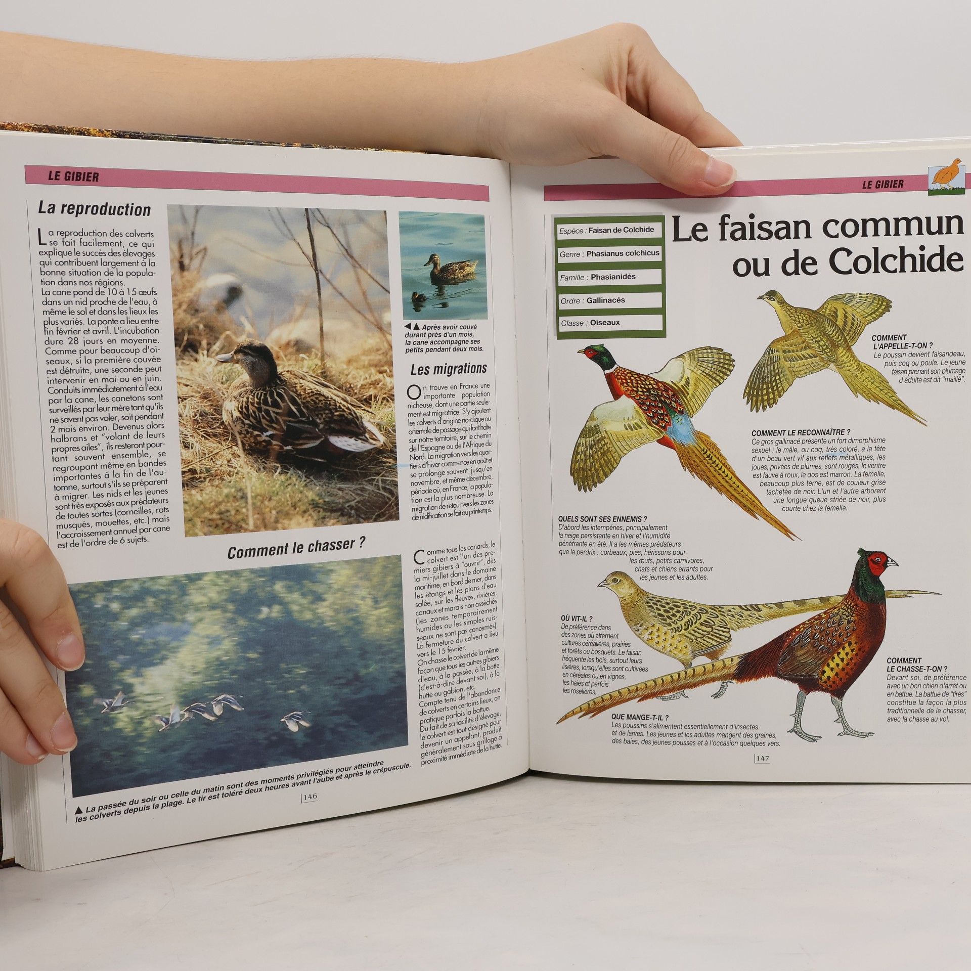 Collectif Le chasseur: Atlas pratique du chasseur